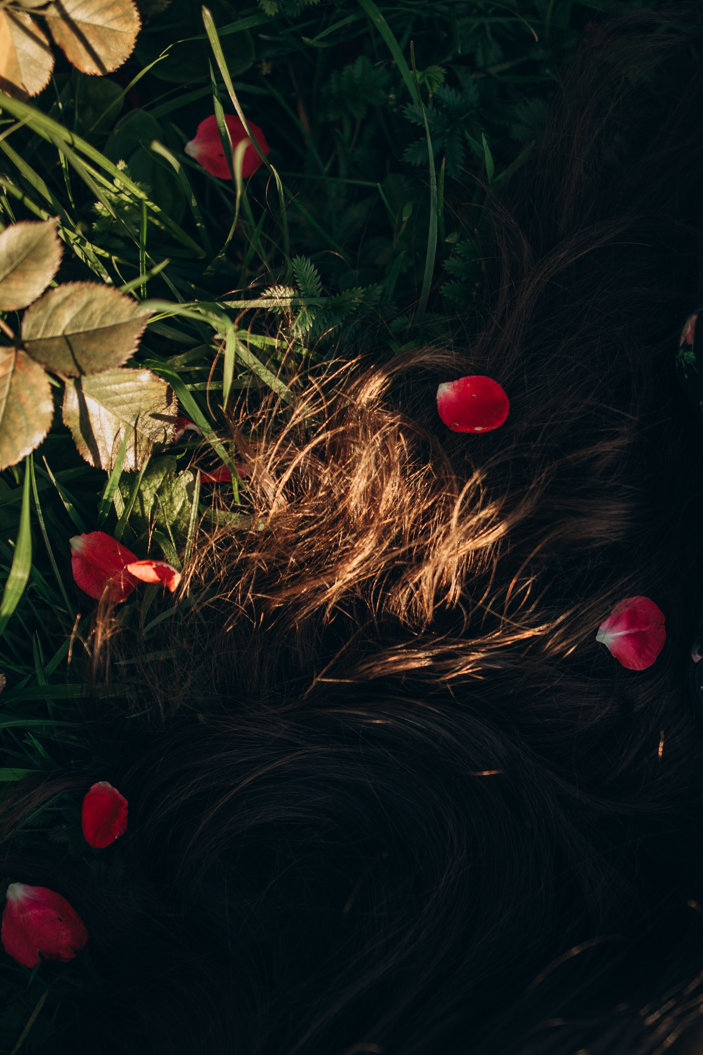 Даша и ее мальчики. Фотограф — Анималист | Санкт-Петербург
