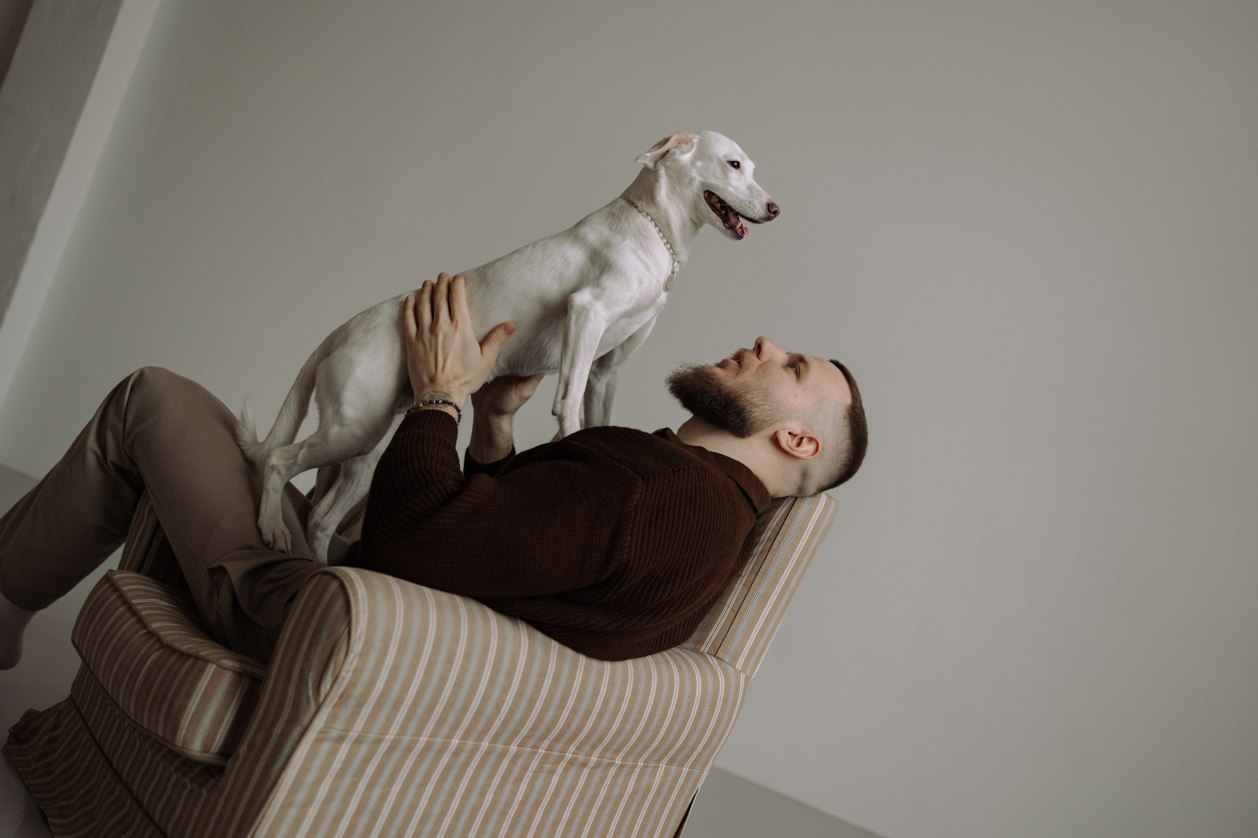 Луна и ее семья. Фотограф — Анималист | Санкт-Петербург