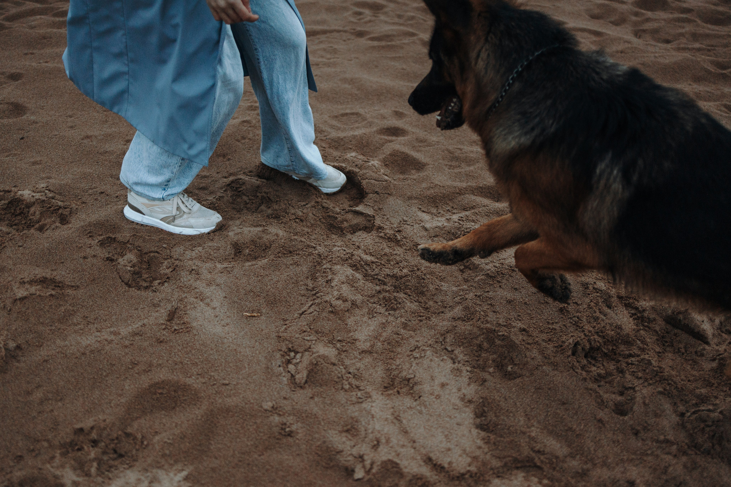 Катя и Агат. Фотограф — Анималист | Санкт-Петербург