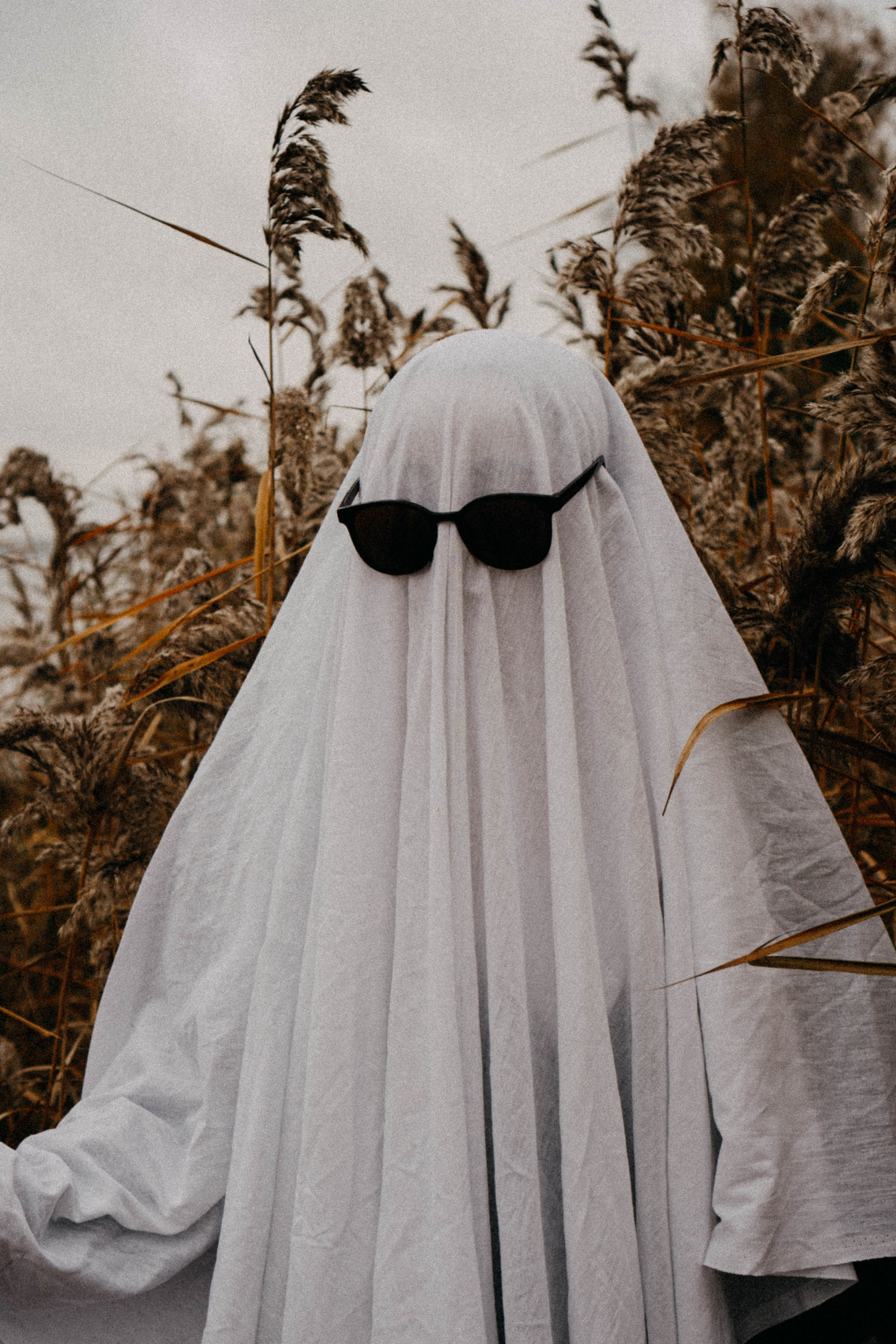 Осеняя. Профессиональный фотограф, Санкт-Петербург — Виктория Богомолова