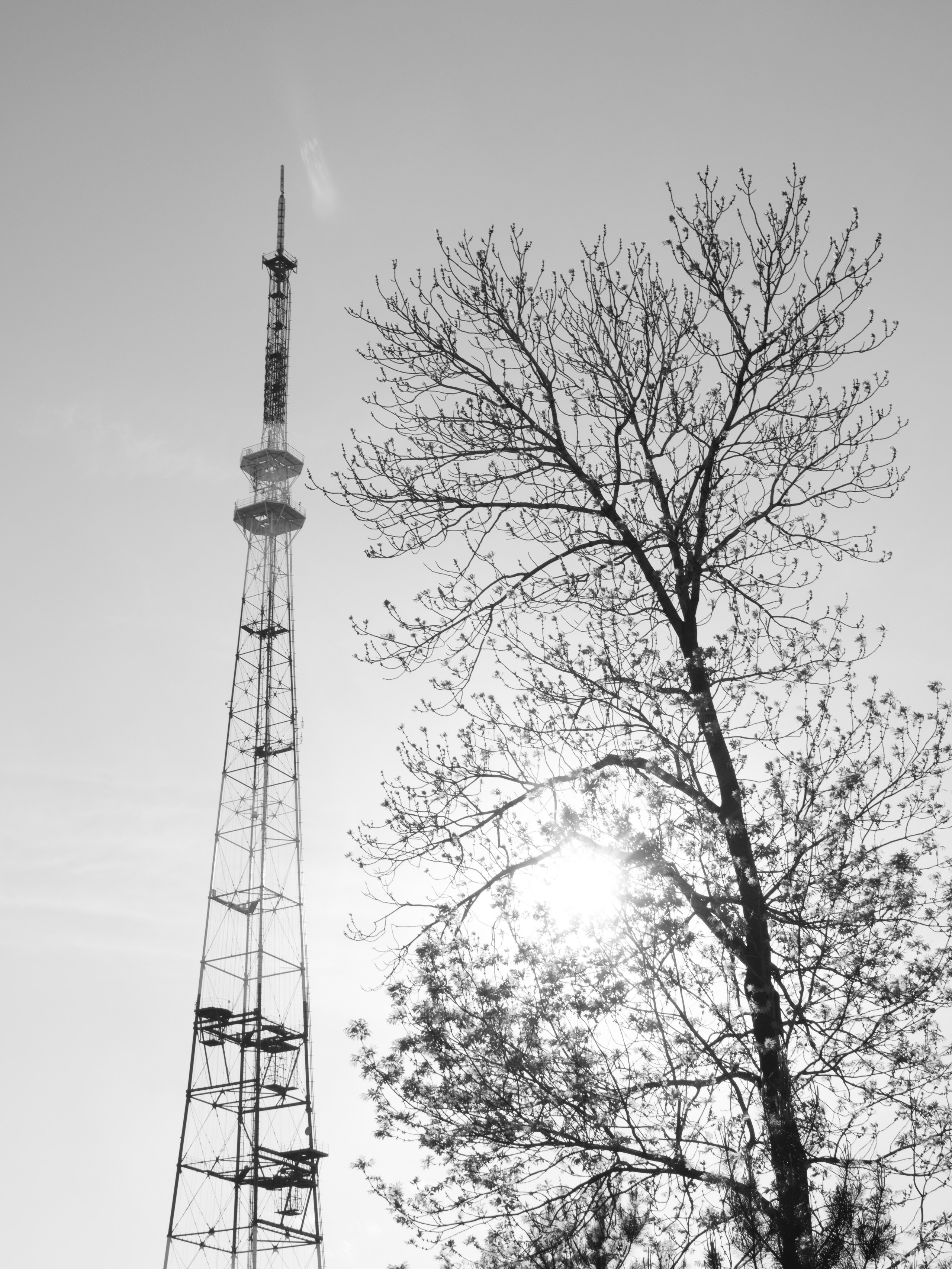 Фотогпрогулка