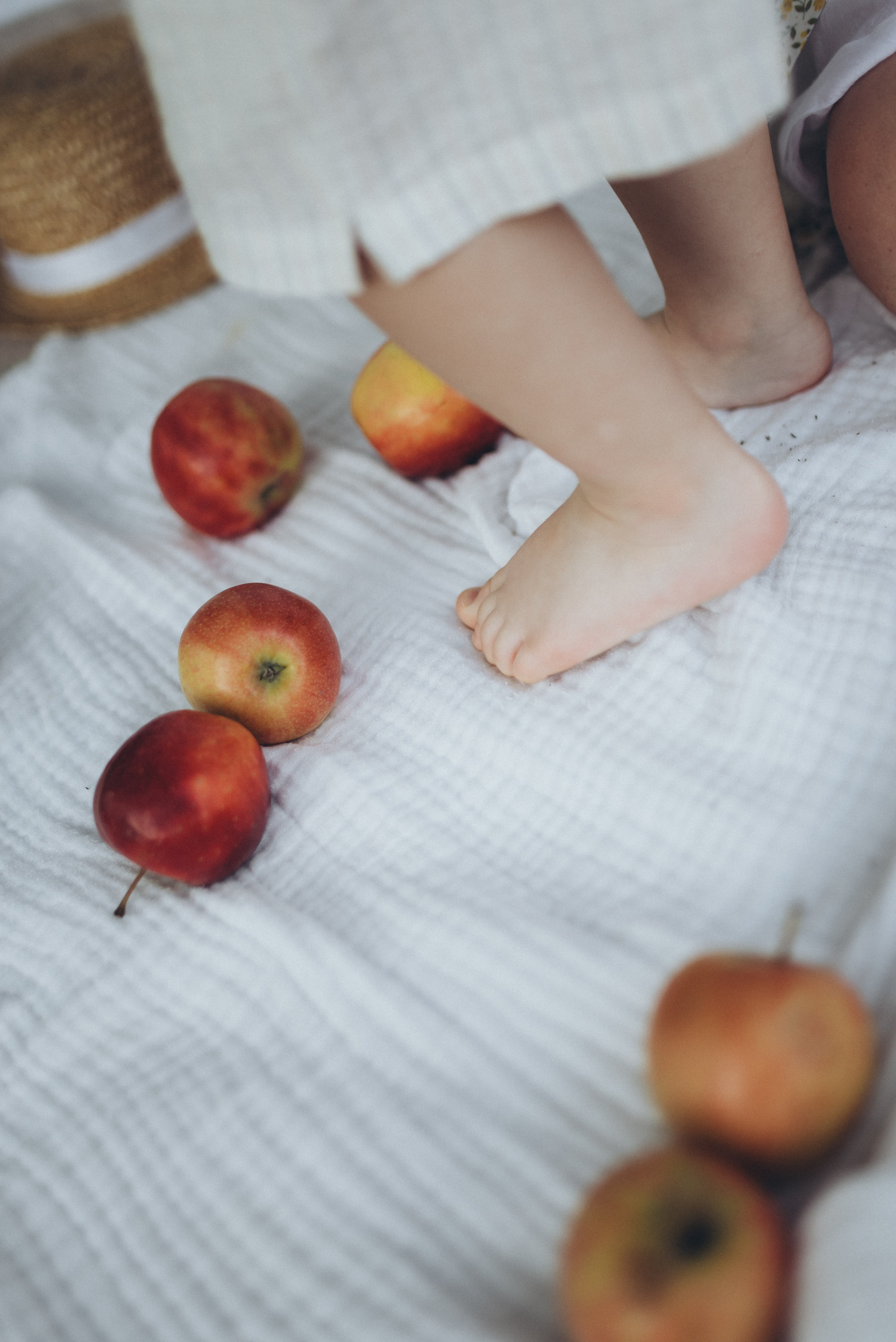 Домашняя семейная фотосессия пикник в Сочи. Фотограф в Сочи — Маргарита Поганова