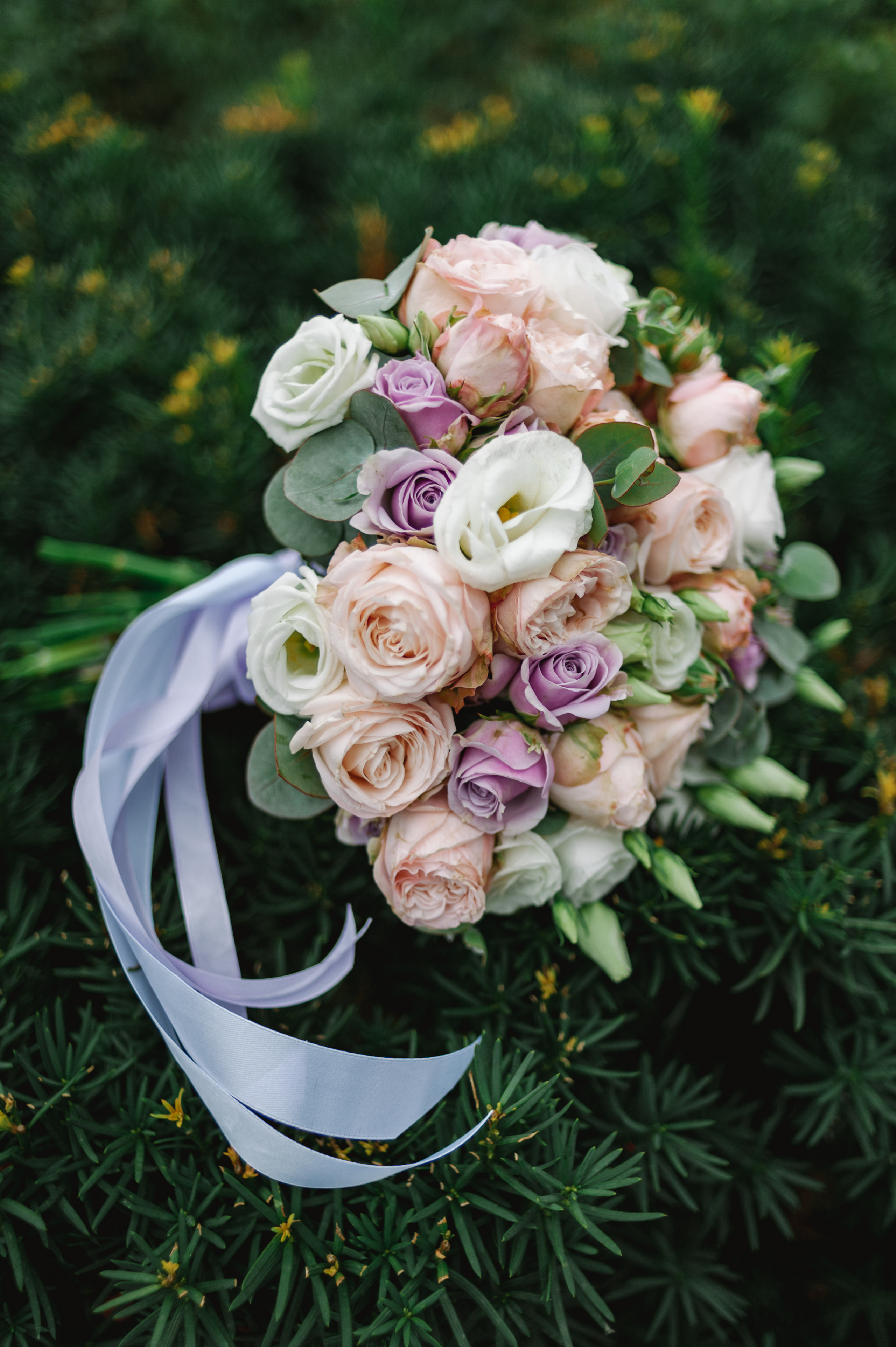 Николай и Елизавета. Wedding family commercial photographer videographer Minsk Gomel