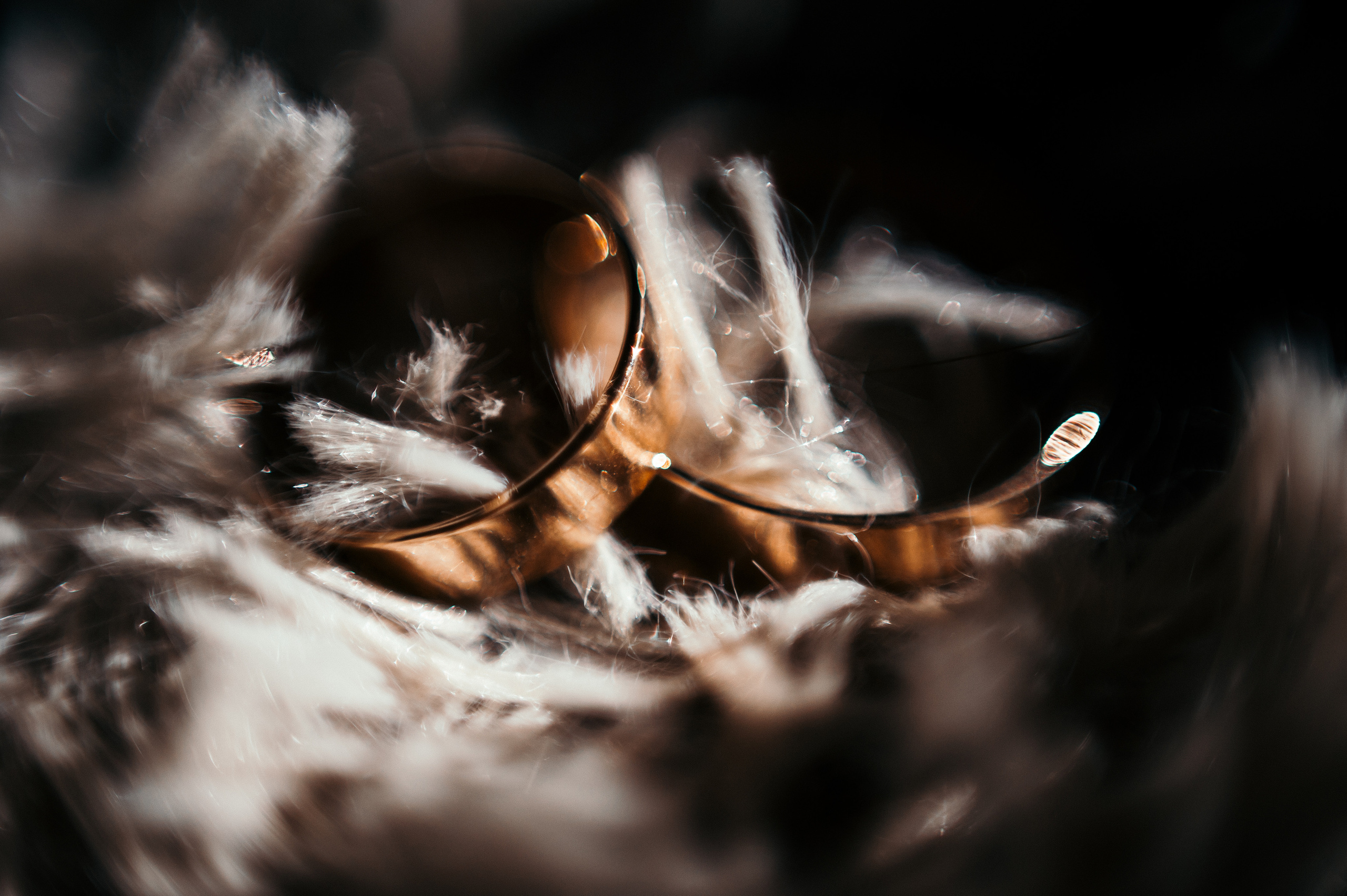 Денис Аня. Свадебный семейный коммерческий фотограф видеограф Минск Гомель