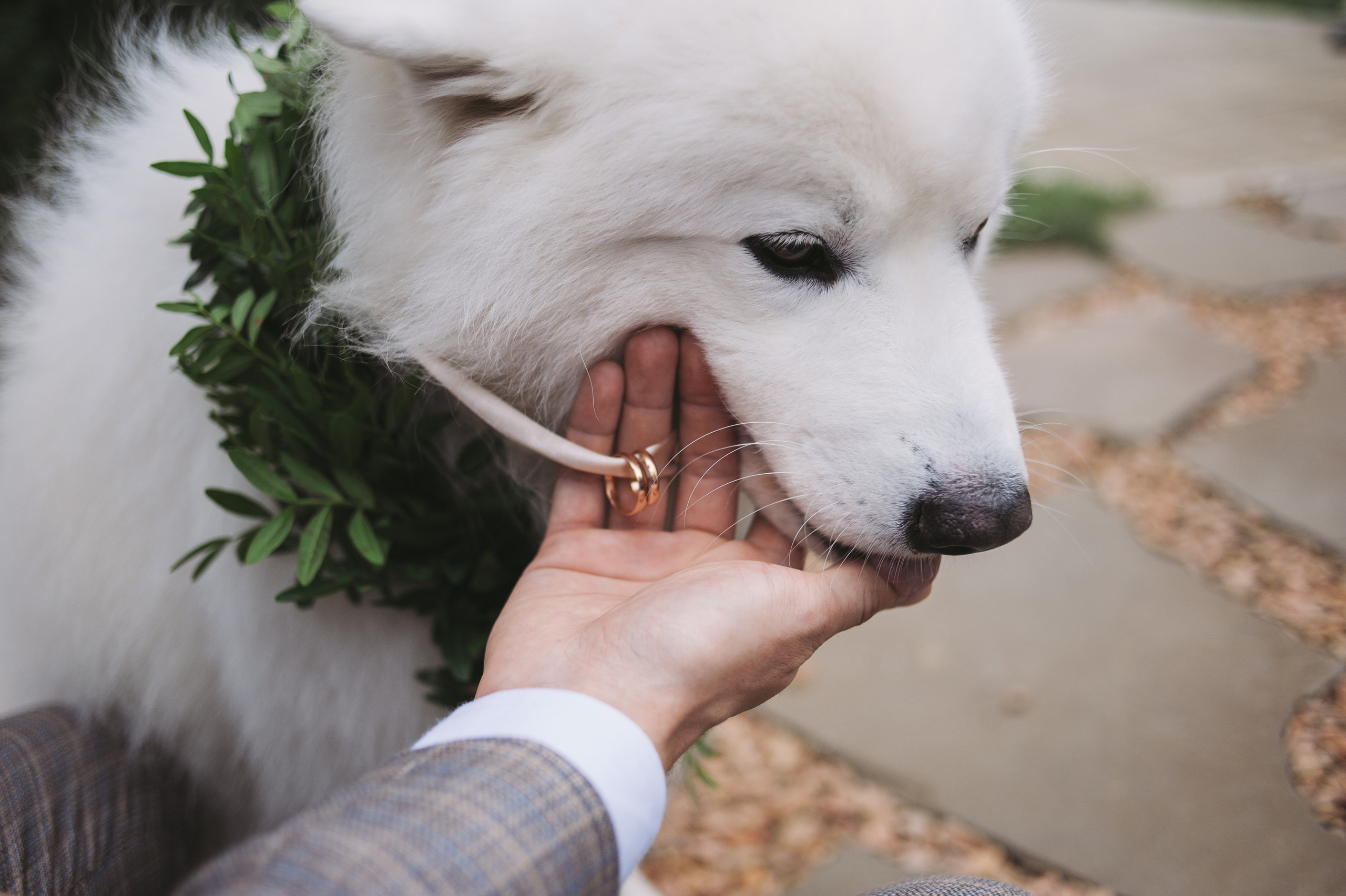 Максим и Алёна. Wedding family commercial photographer videographer Minsk Gomel