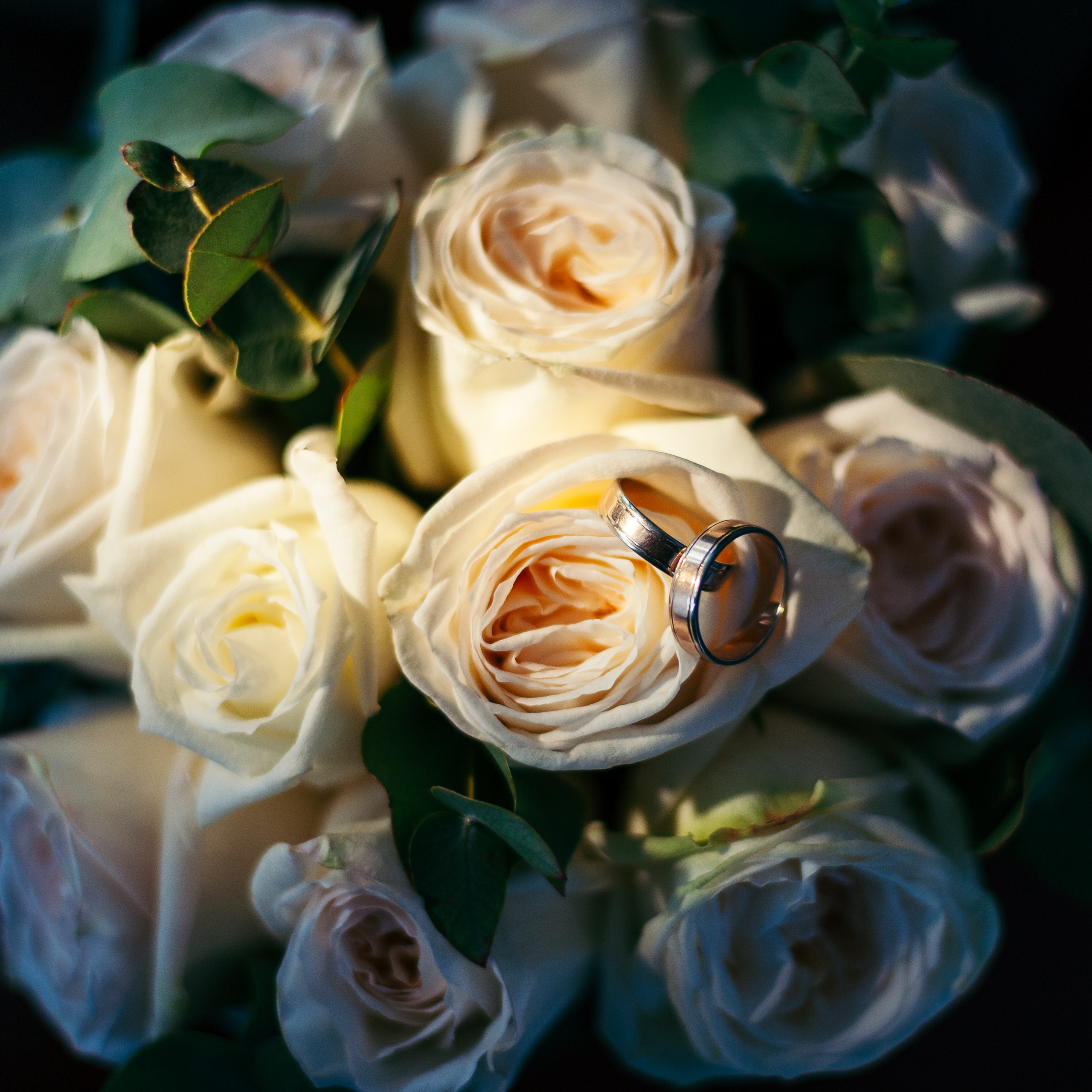 Степан и Евгения. Свадебный семейный коммерческий фотограф видеограф Минск Гомель