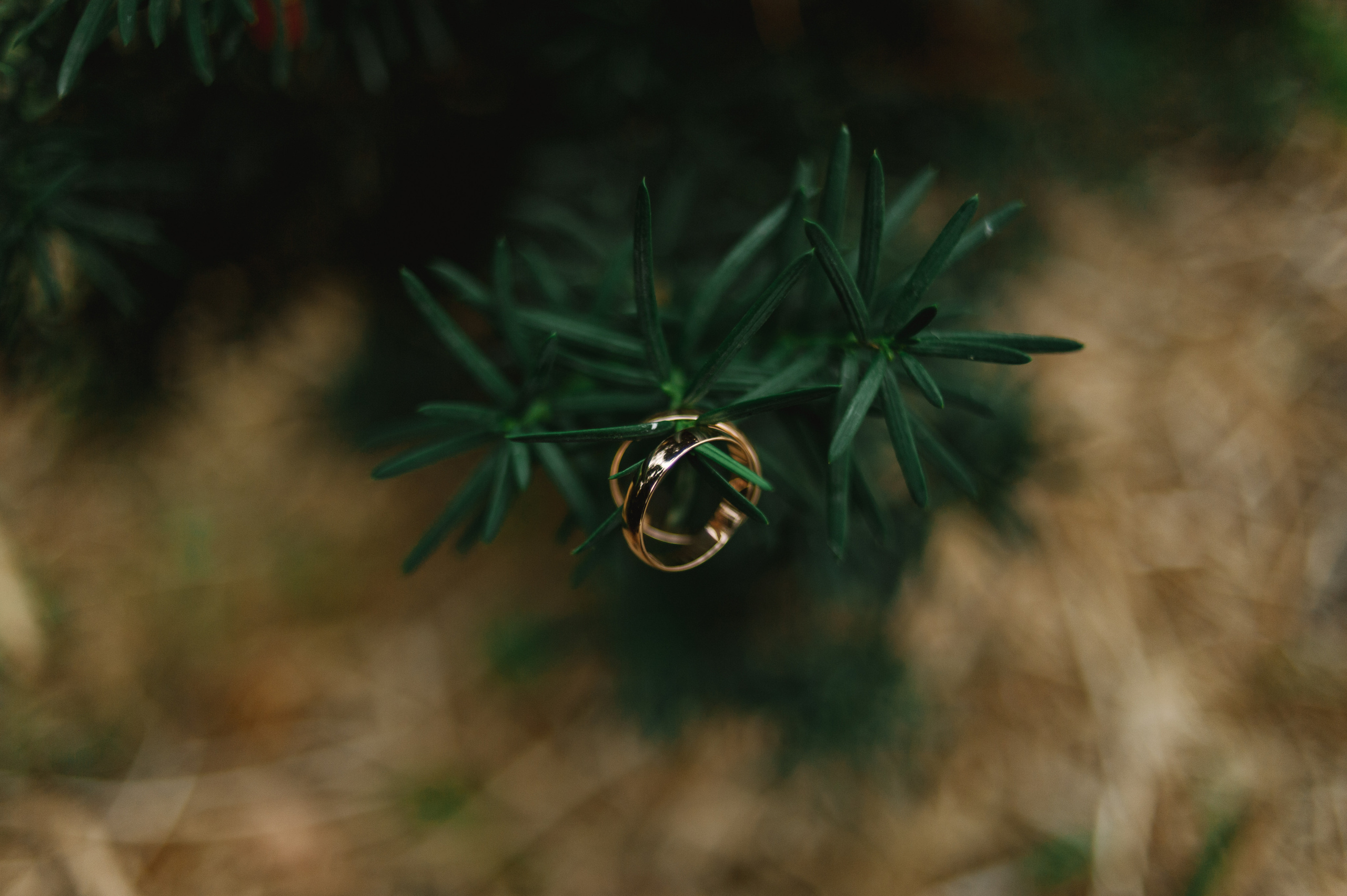 Николай и Елизавета. Wedding family commercial photographer videographer Minsk Gomel