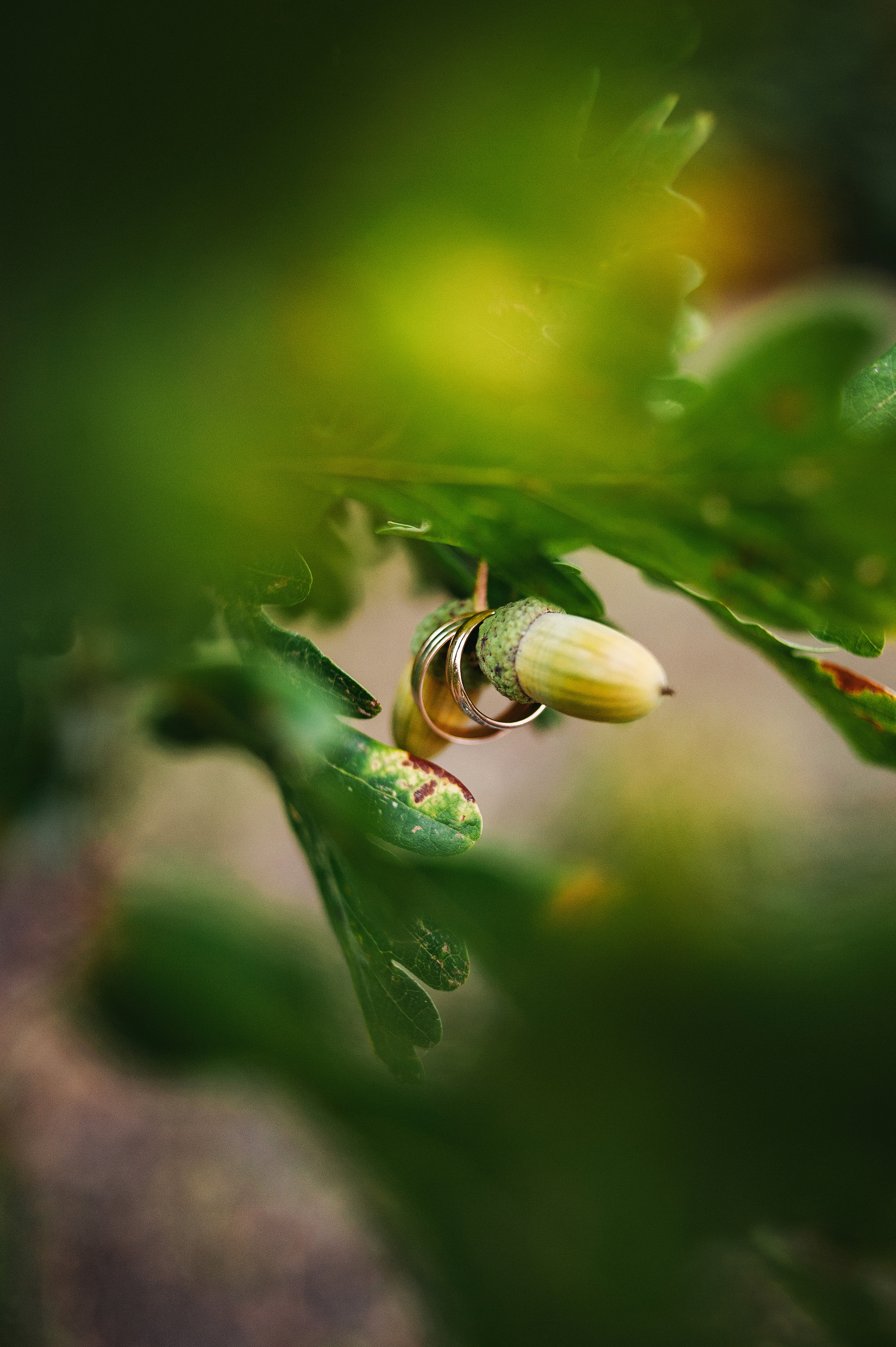 Дмитрий Кристина. Свадебный семейный коммерческий фотограф видеограф Минск Гомель