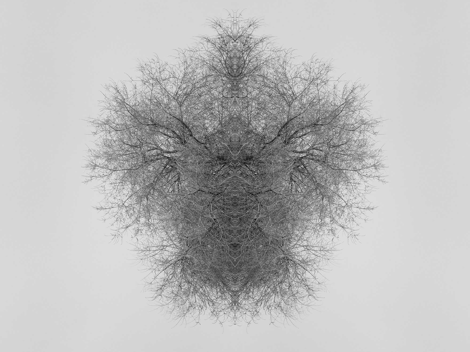 Острова. Анна Порошина — междисциплинарный художник