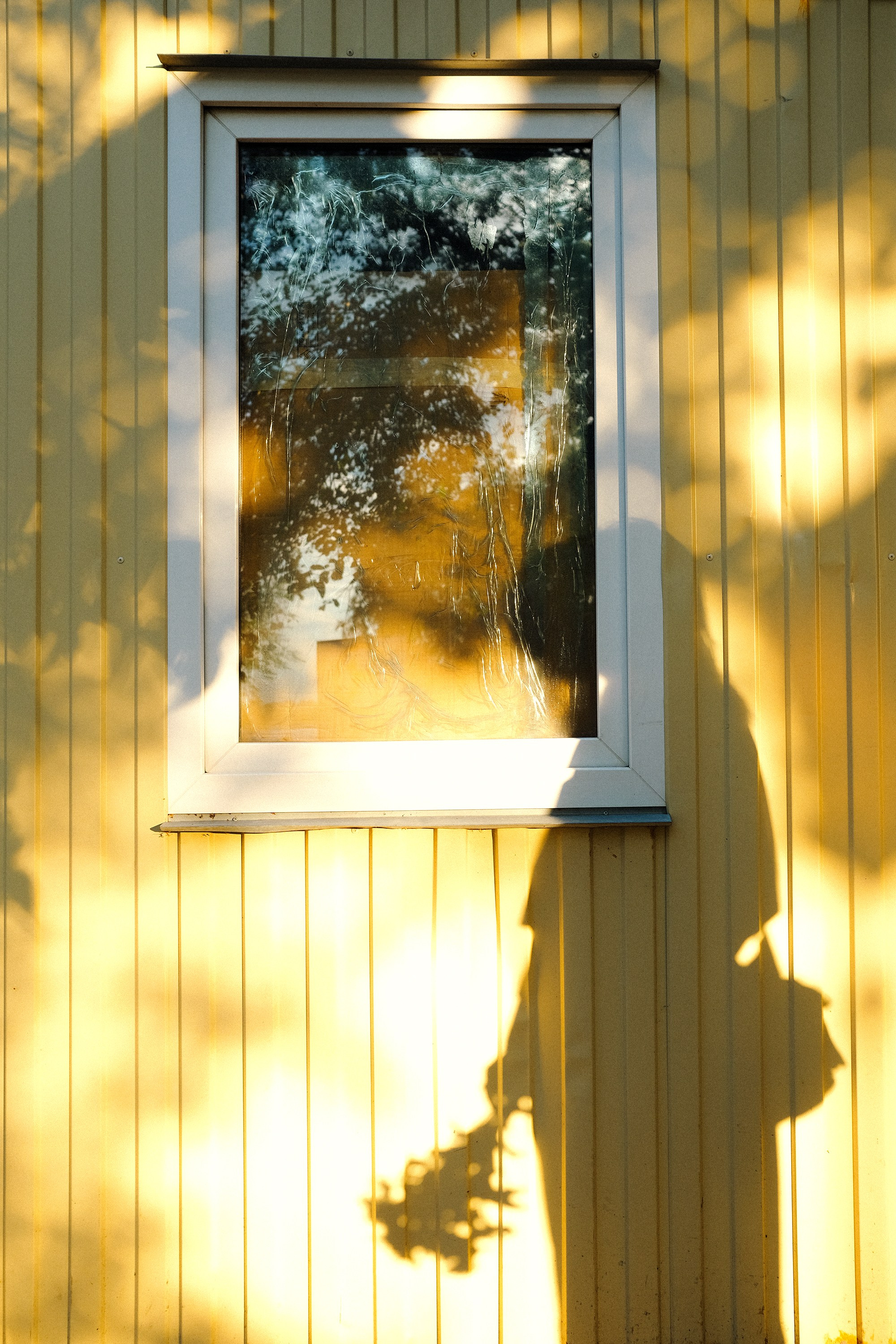 Софья. Anya.vision