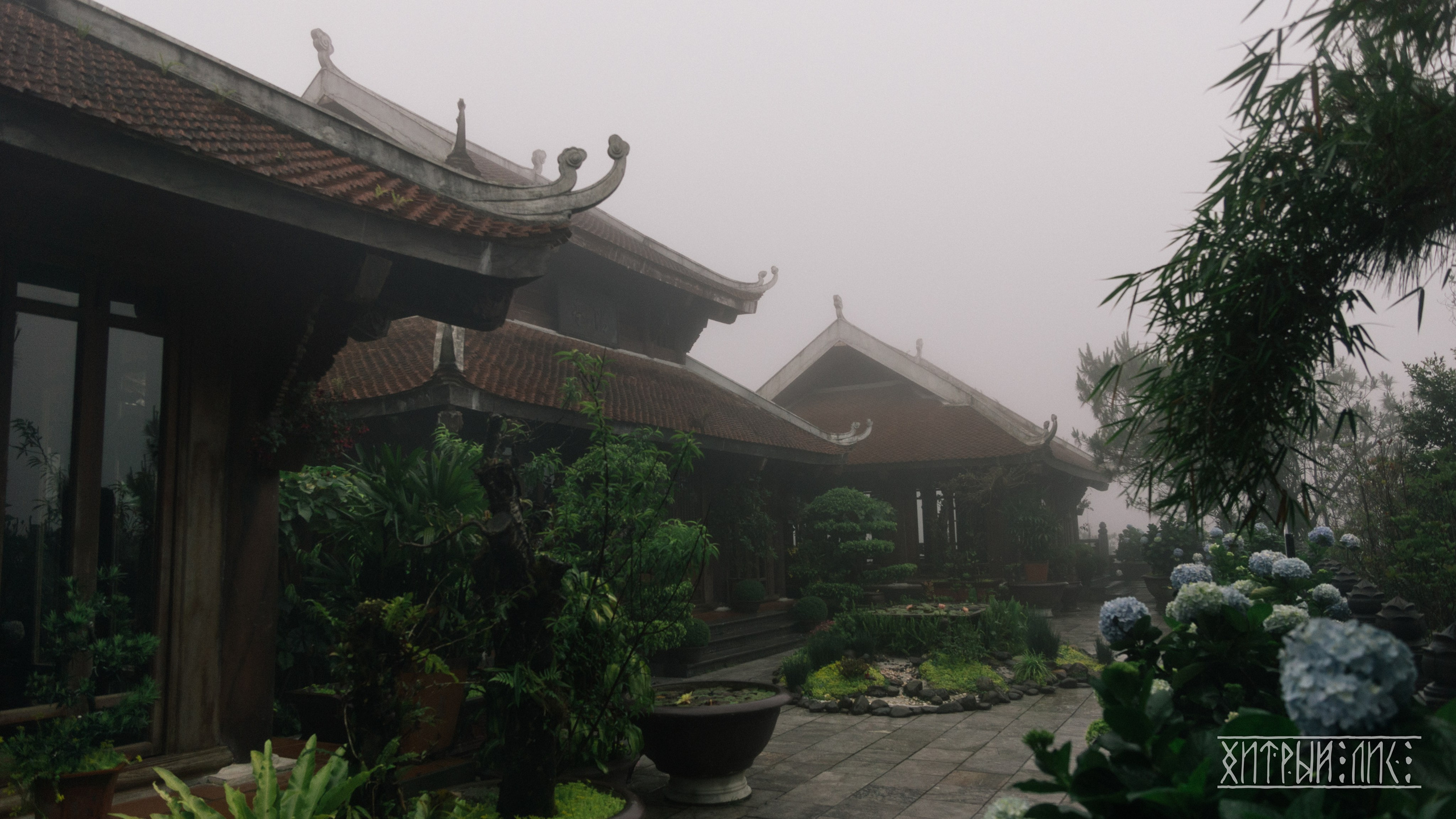 Вьетнам. Фотограф-путешественник Самойлов Максим «Sly Fox»