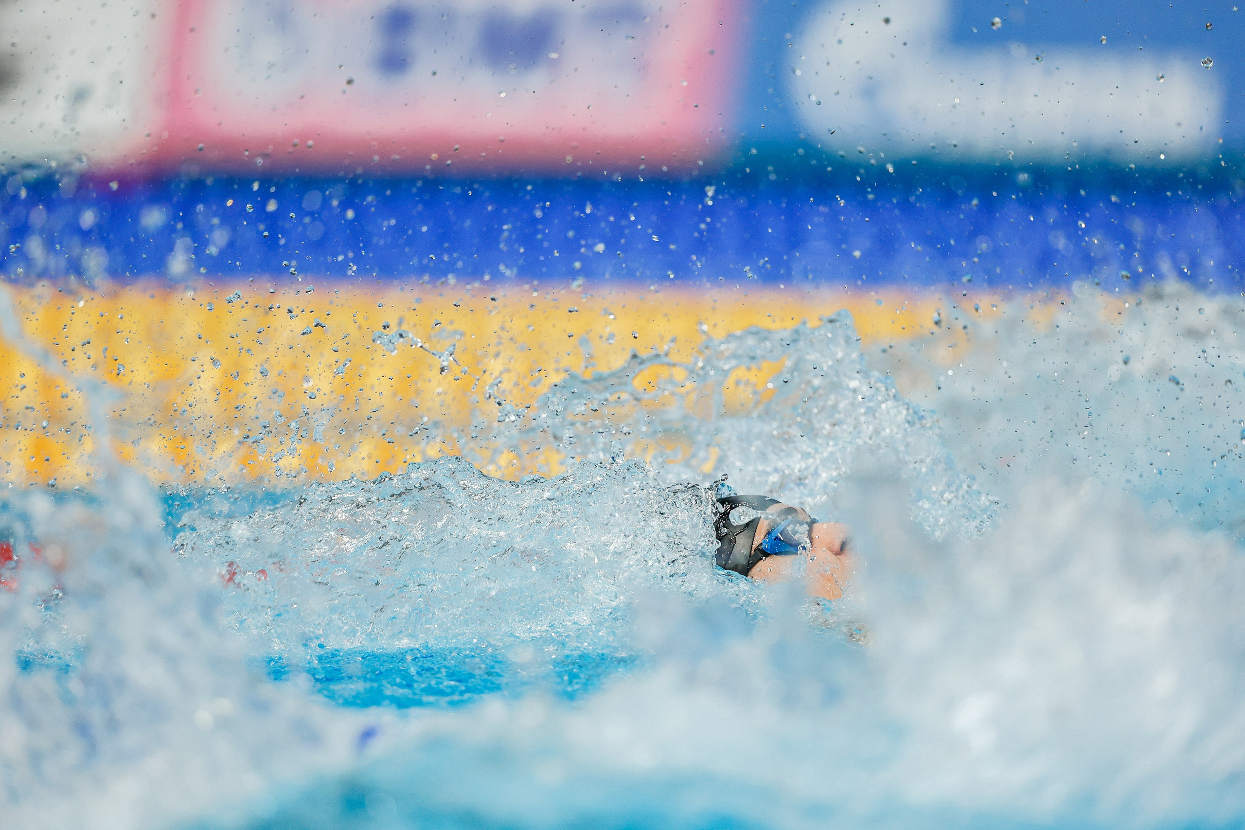Чемпионат России по плаванию 2023. Спортивный репортажный фотограф Казань Нафис Сиразетдинов