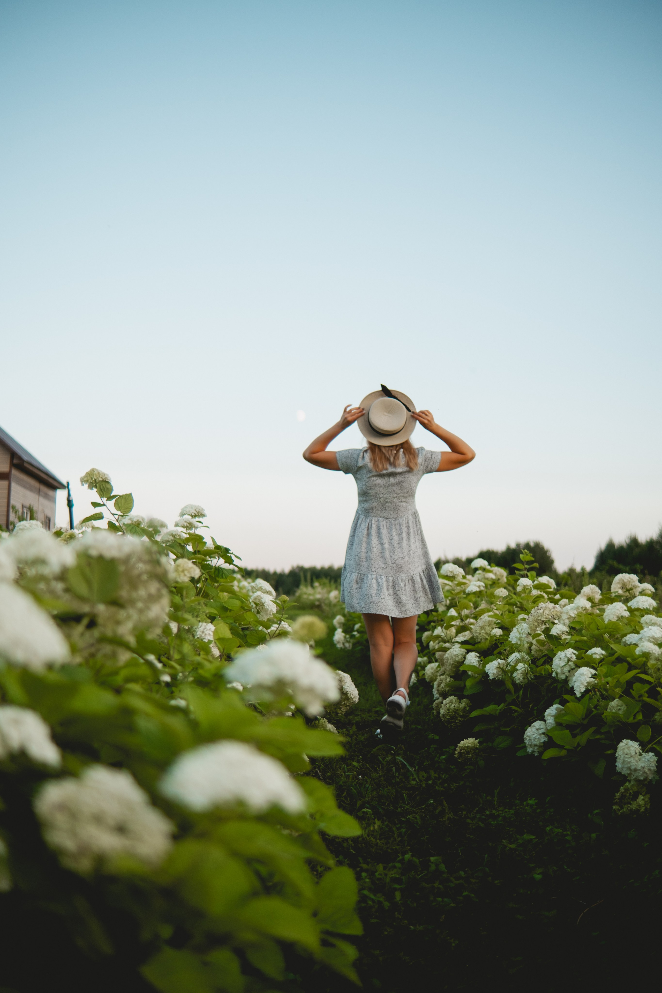 Семейная съемка в лованде. Nattie.ph