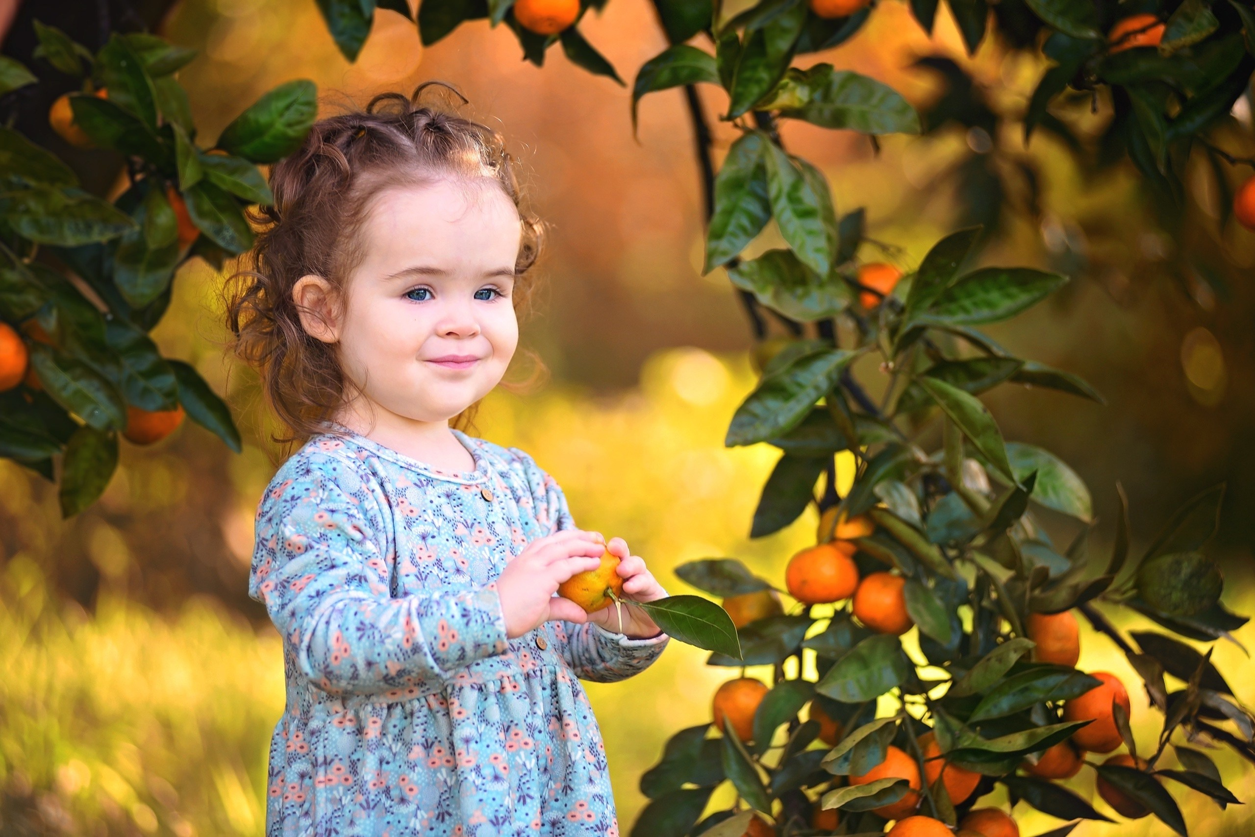 Мандарины. Главная