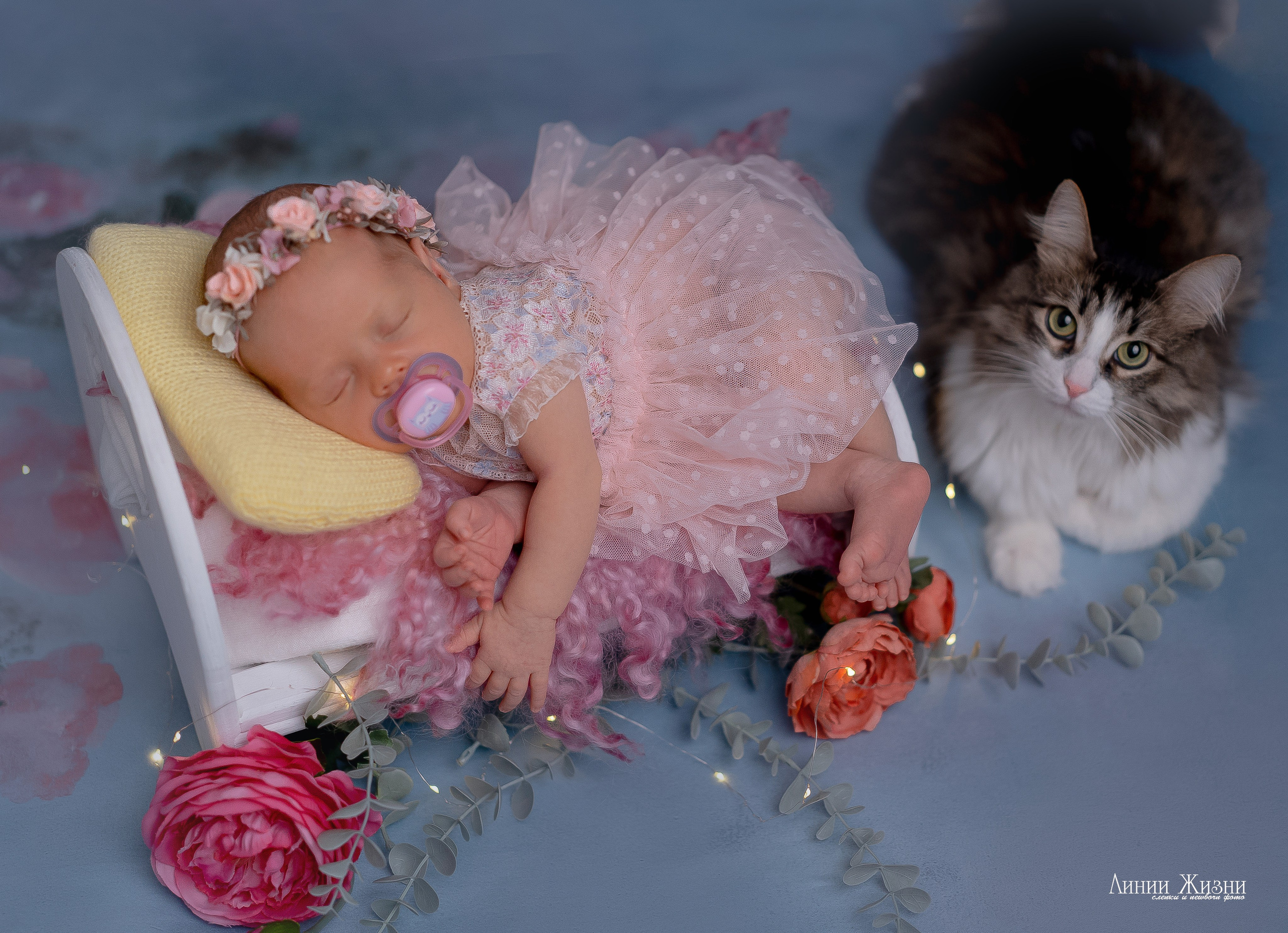 Серафима 19 дней. Фотограф новорожденных в Нижнем Новгороде Сергеева Оксана