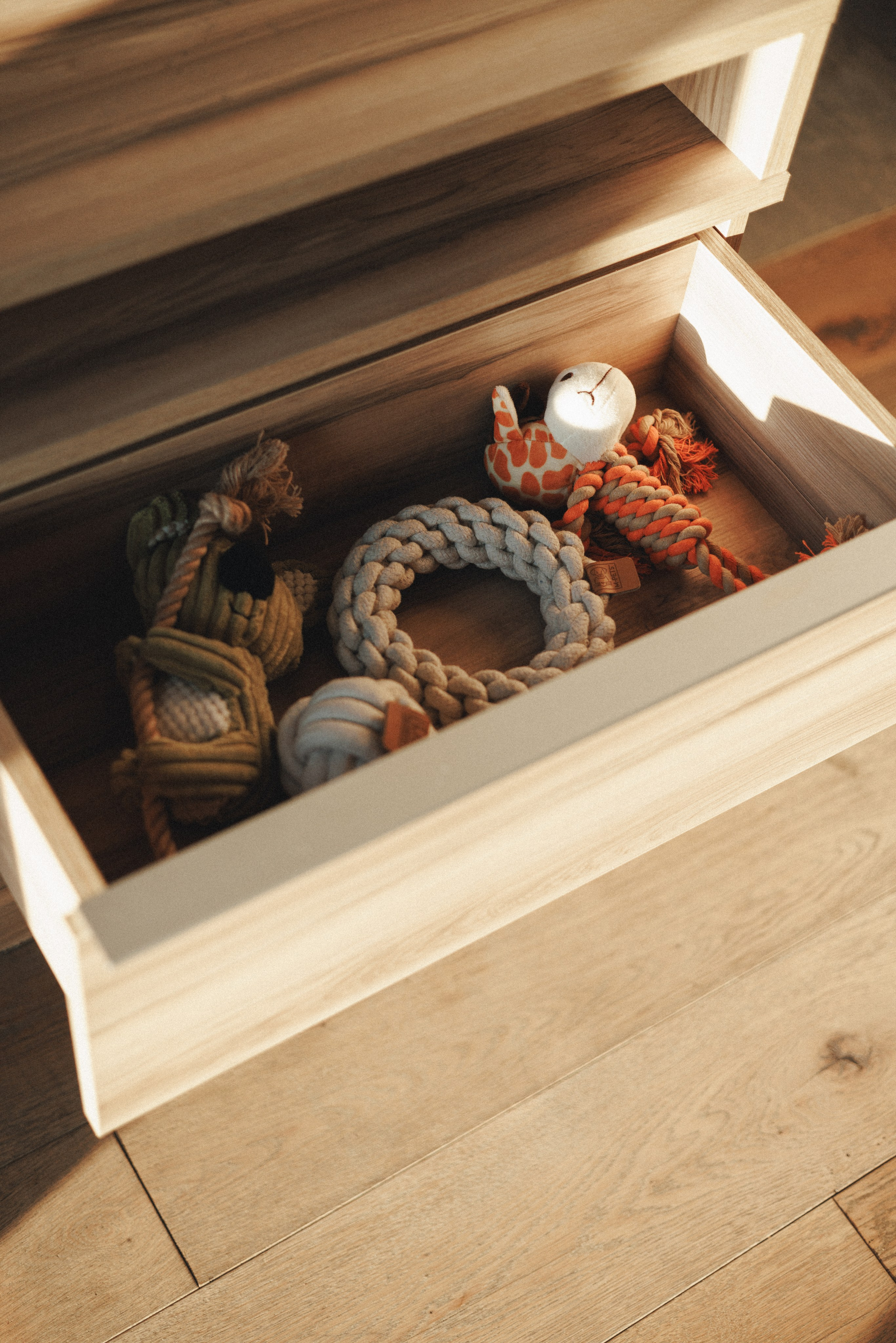 M-Pets. Фотограф анималист Осипчикова Мария