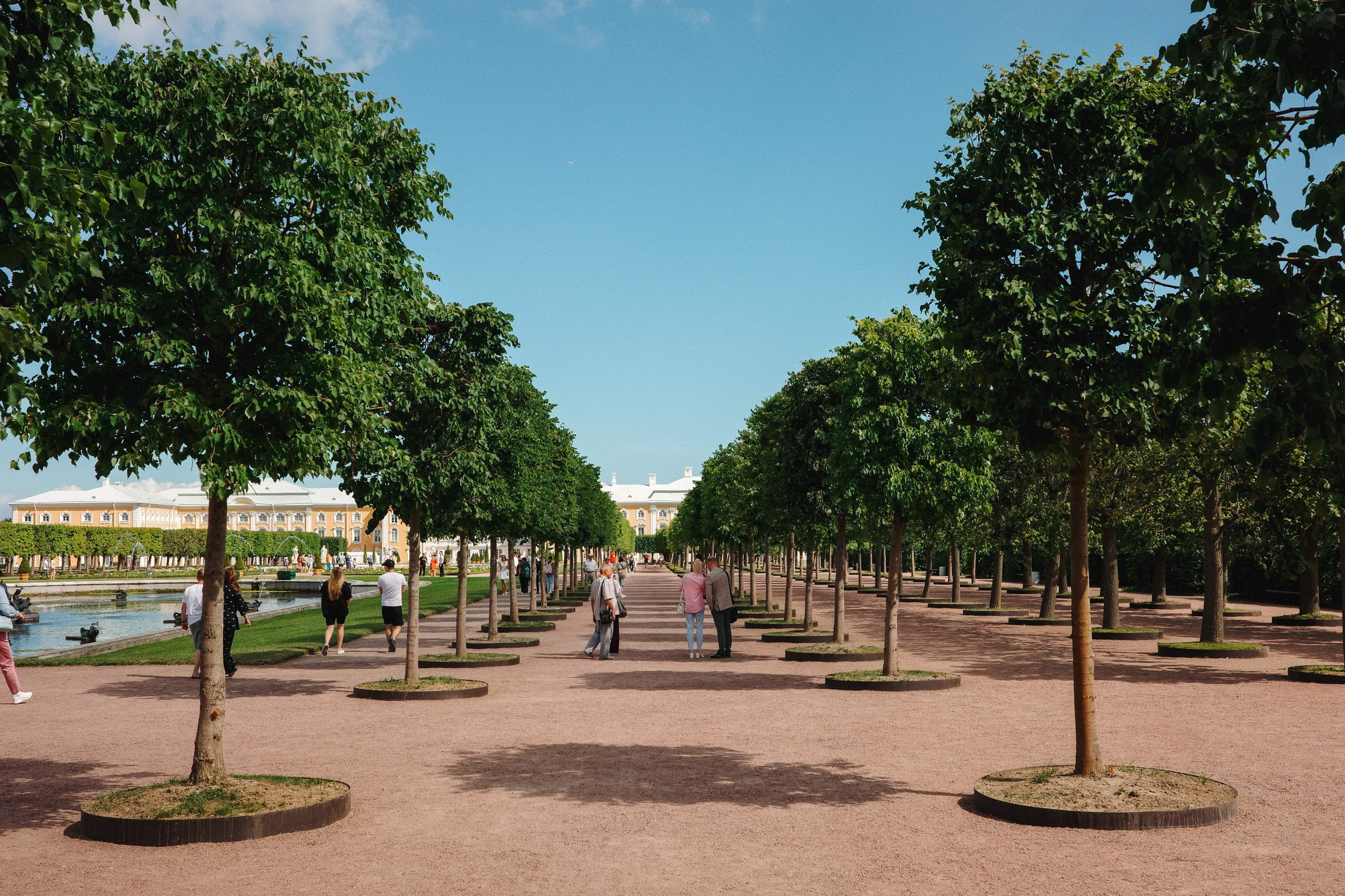 2024.06. Фотограф Алексей Алексеев