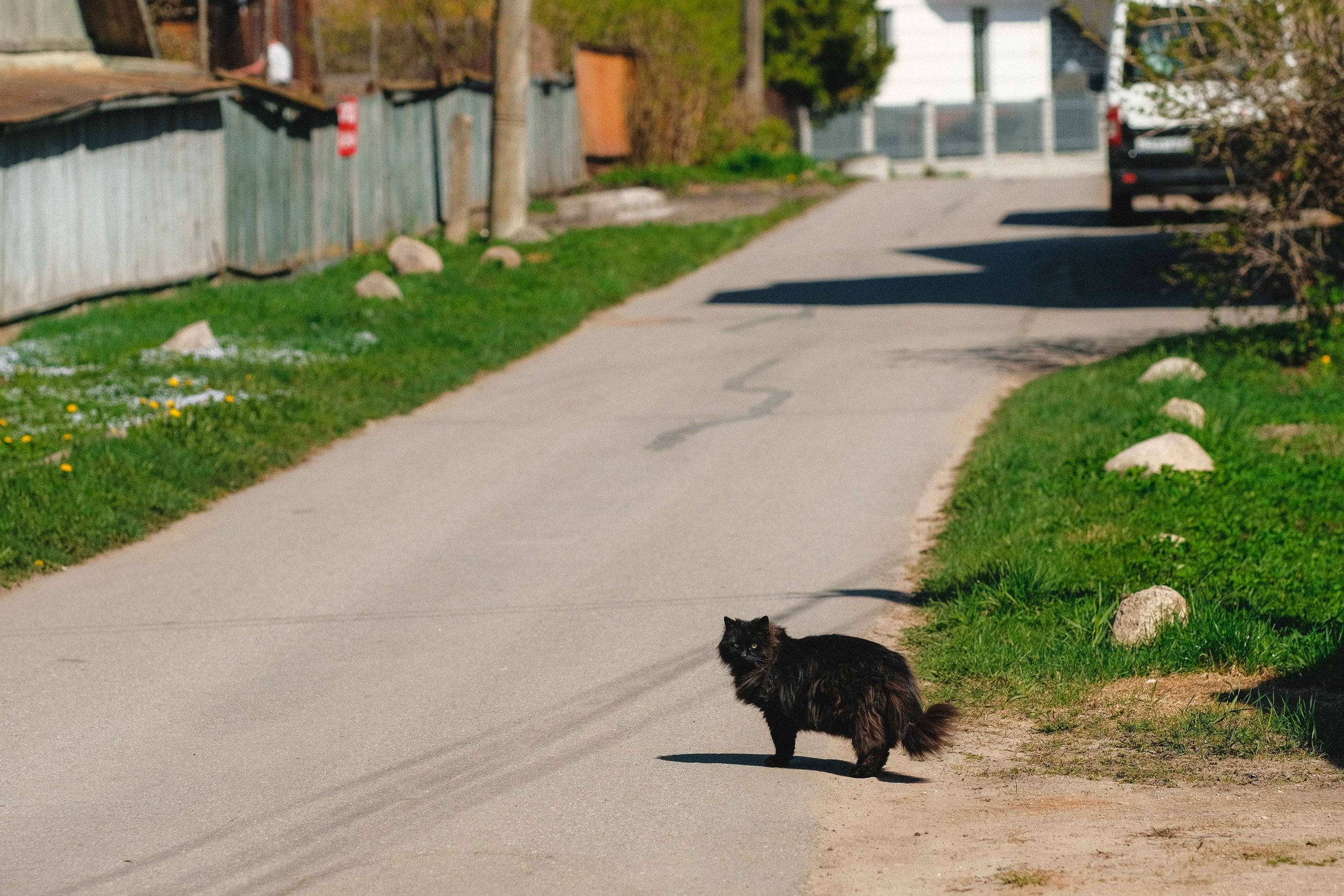 2023.05. Фотограф Алексей Алексеев
