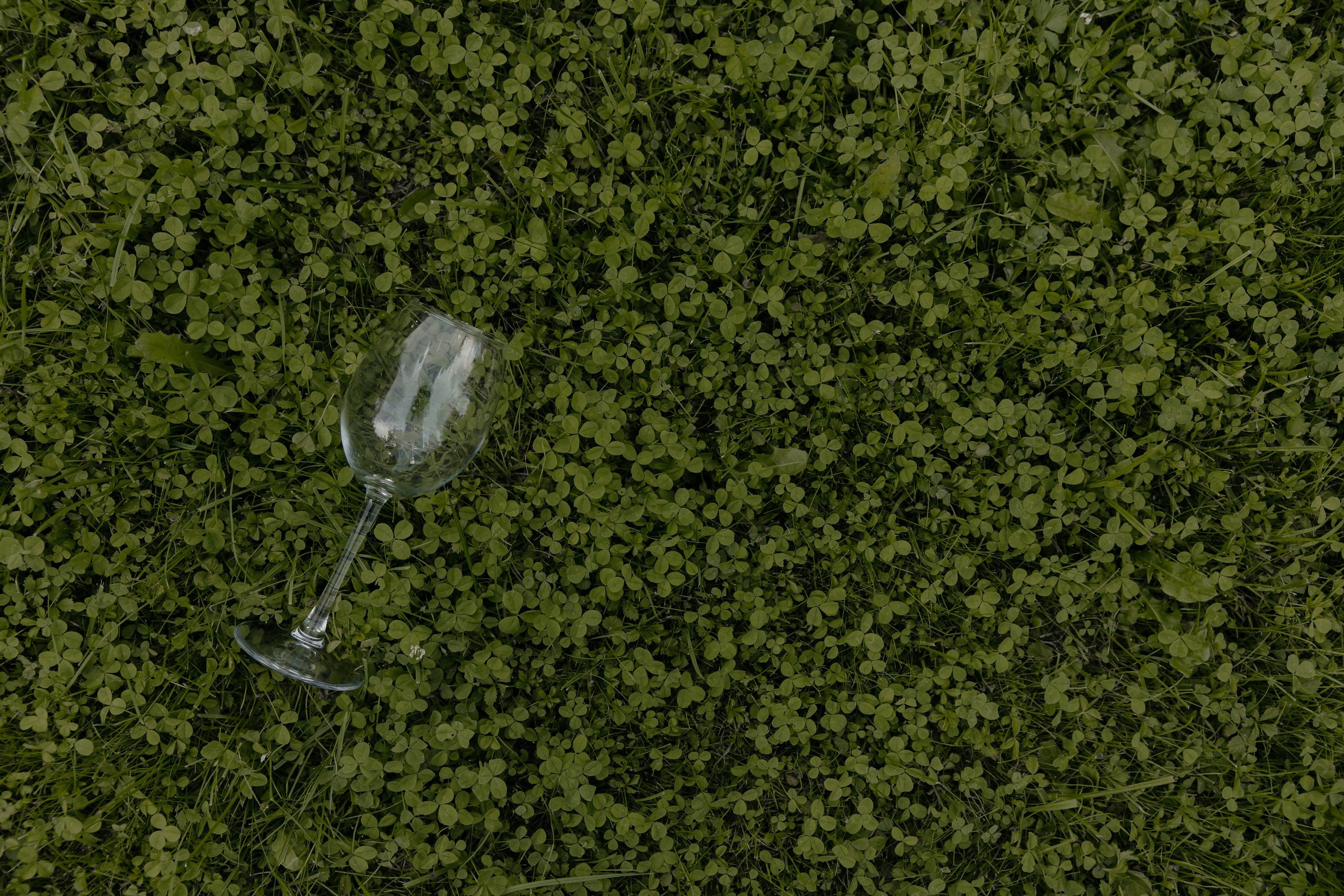 10.08.2024. RETOUCH-HOUSE