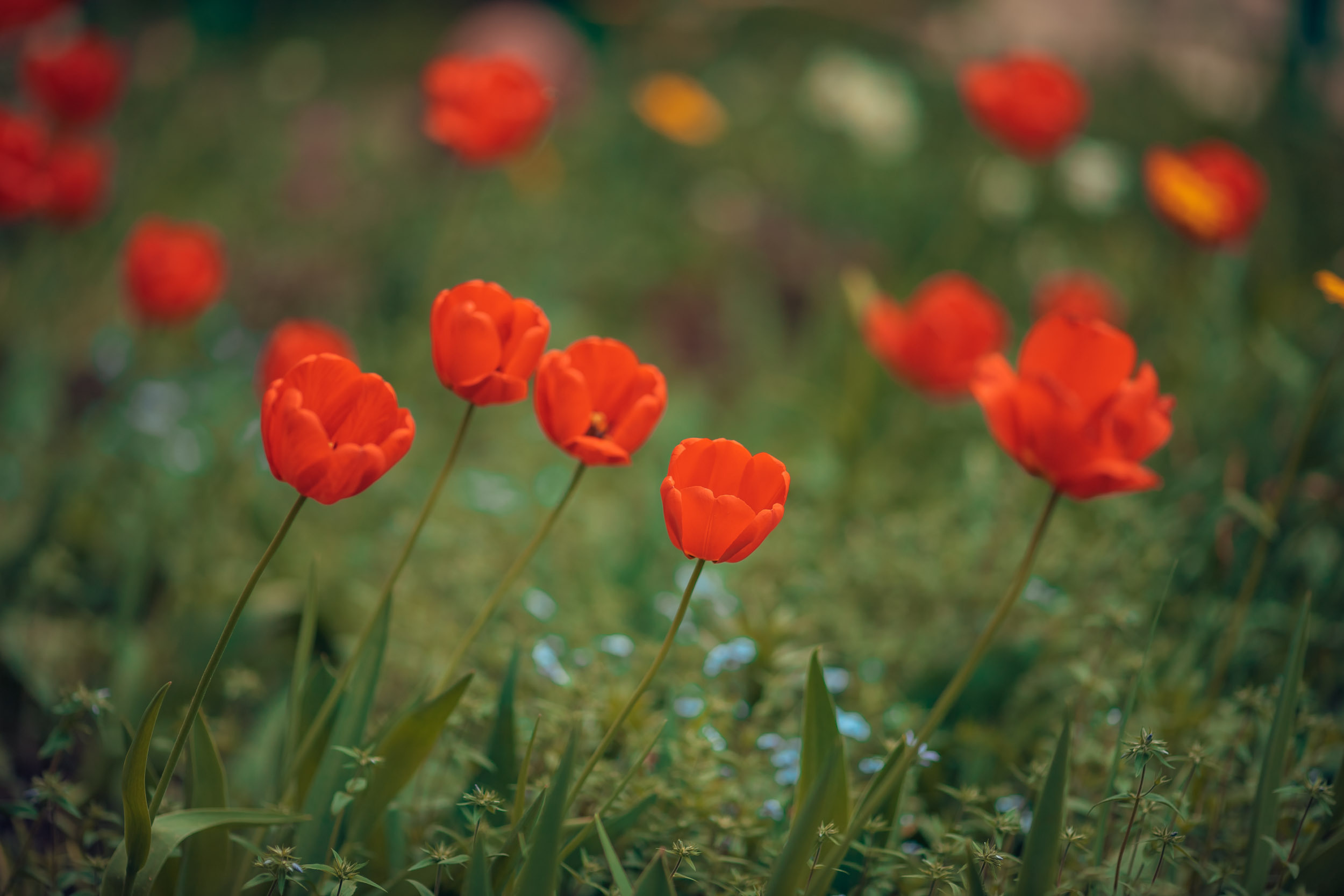 Домашняя съемка. Церковный фотограф Севастополь