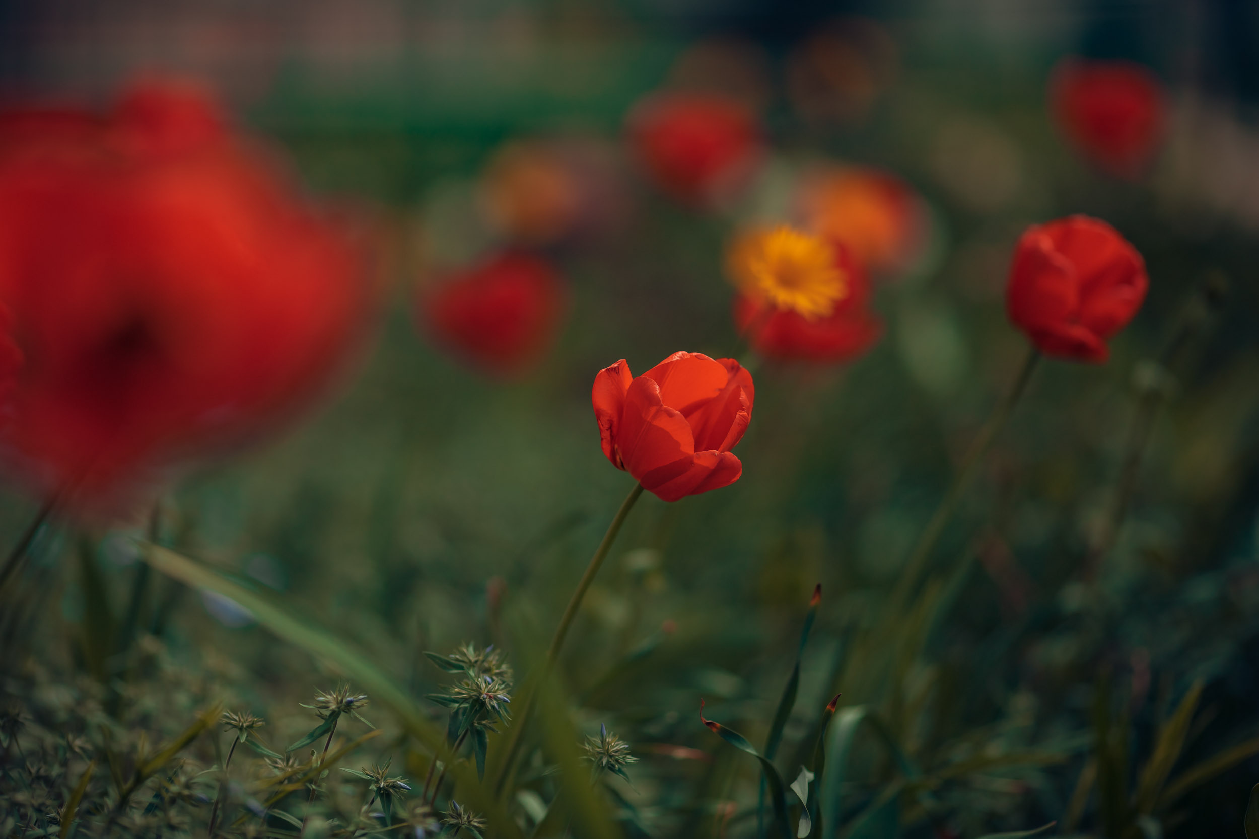Домашняя съемка. Церковный фотограф Севастополь