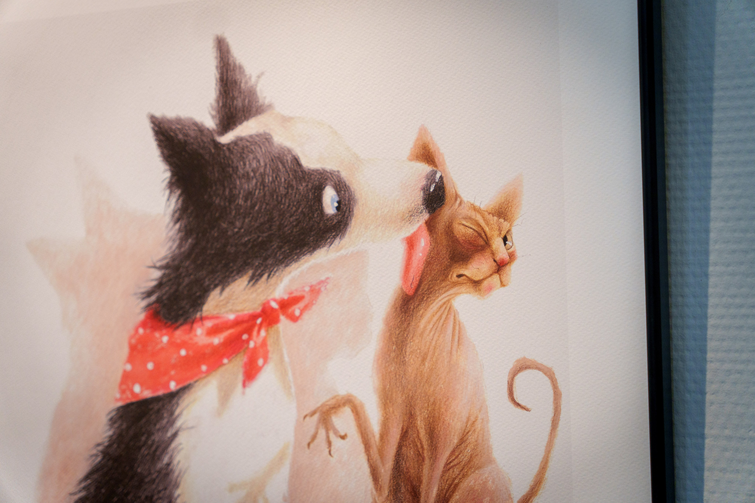 Открытие 11 фестиваля анималистики «Зооарт». Фотограф в Санкт-Петербурге Ибрагимова Алина