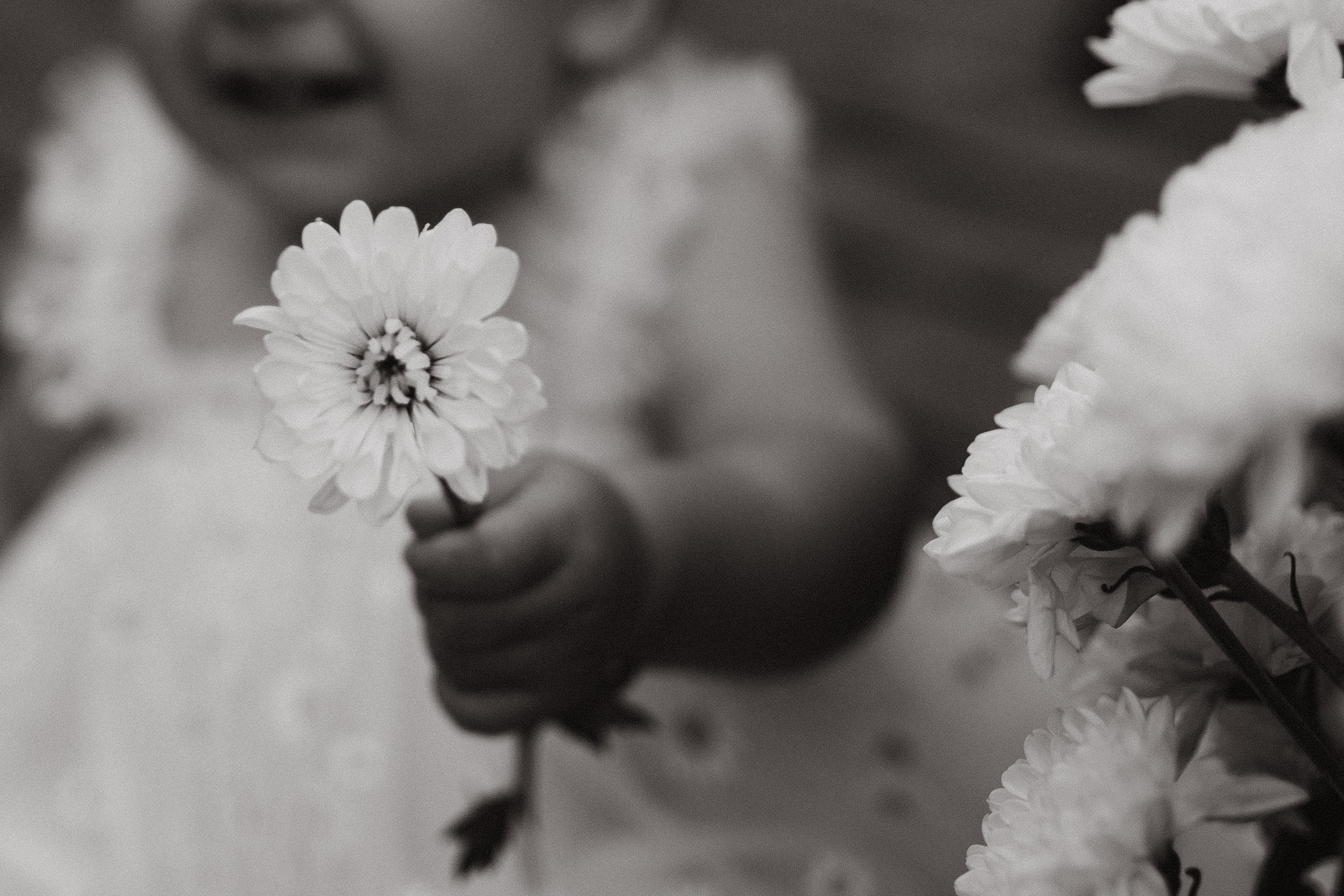 Семейный фотограф Белгородфотограф на свадьбу Белгородфотограф на крестины Белгородсемейная фотосессия Белгородфотосессия для беременных. Фотограф Анастасия Евсеева |Белгород