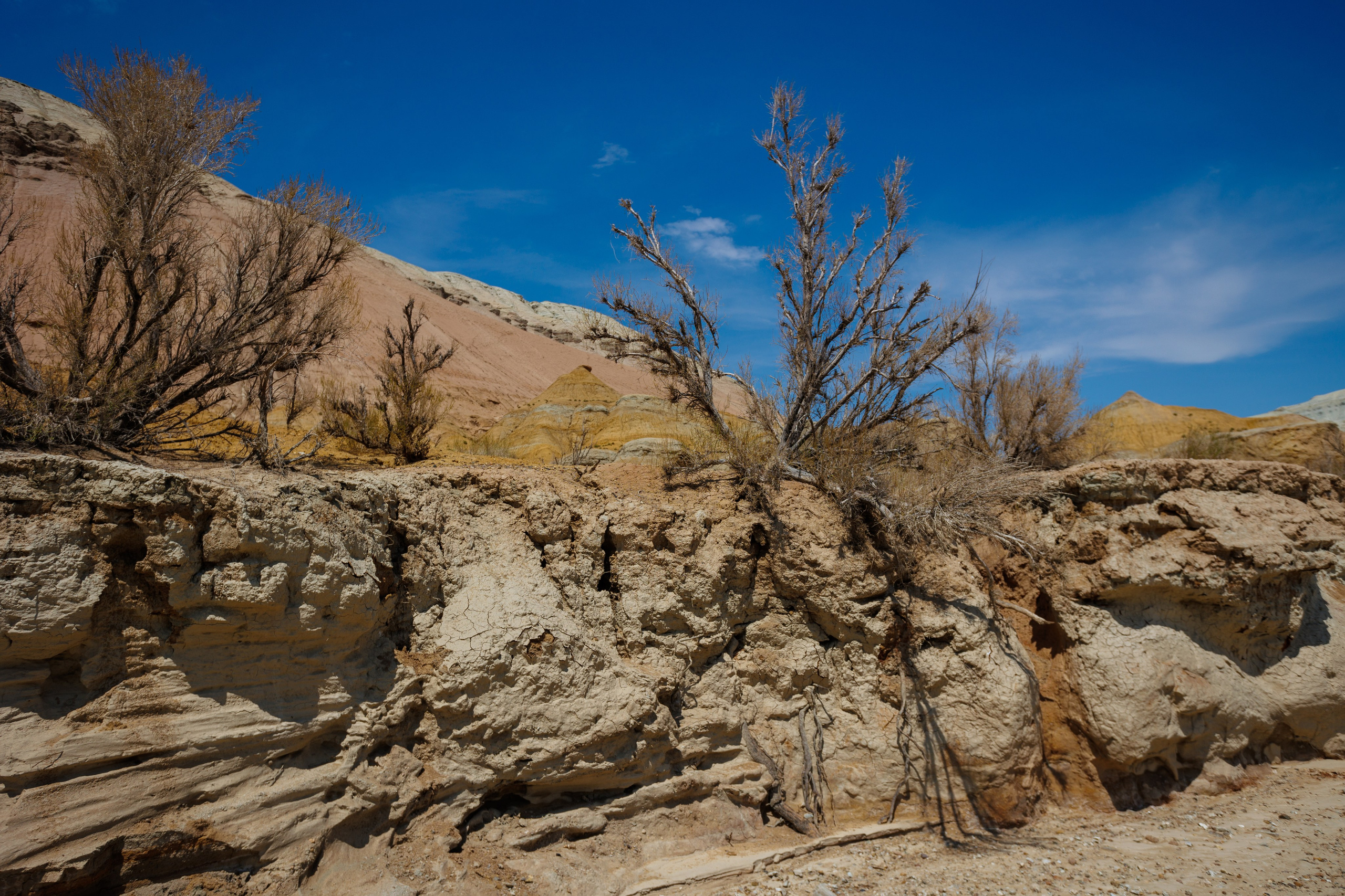Алтын Эмель. Экскурсии и туры по Алматы