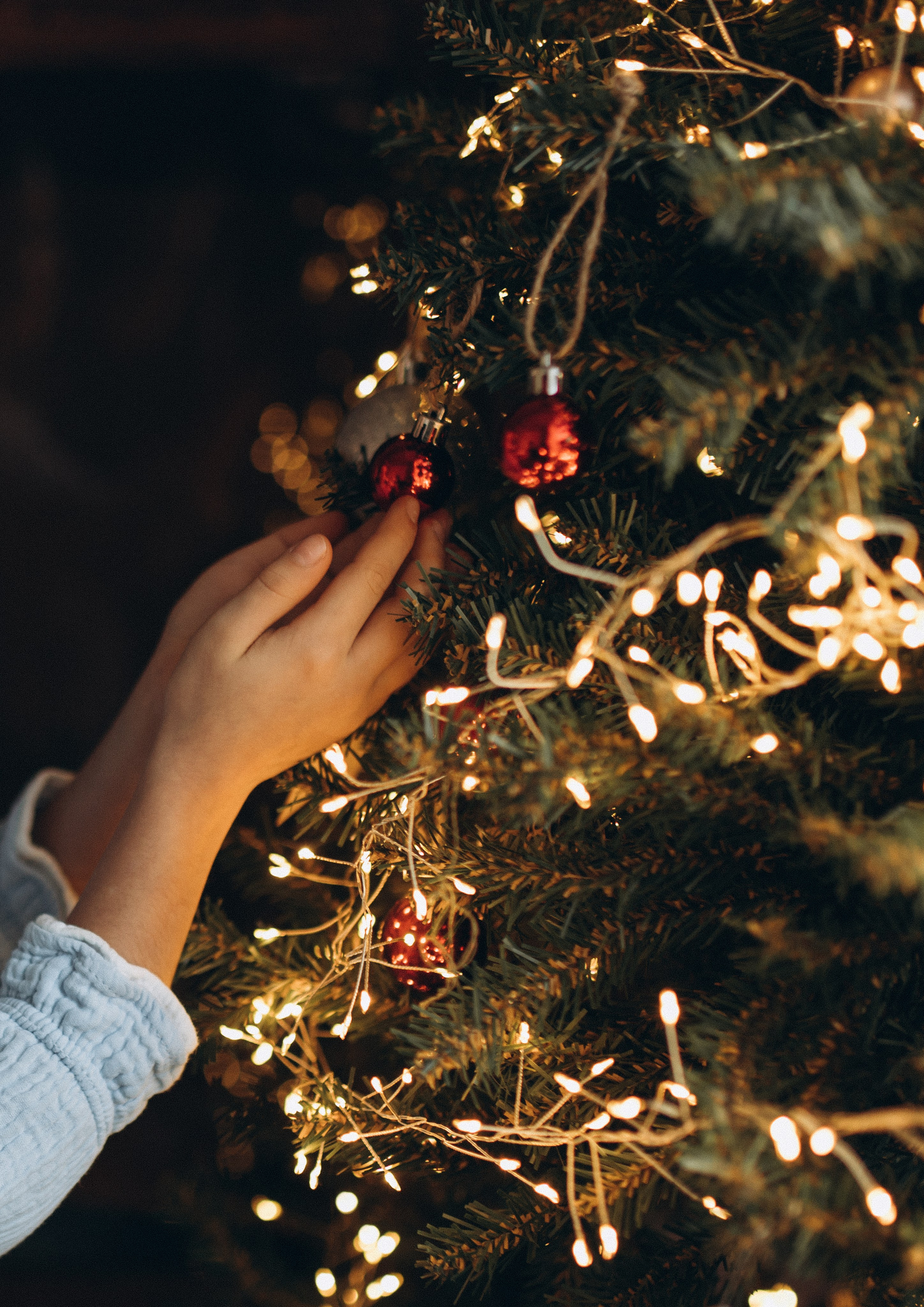 Новогодняя история в  Санкт-Петербурге. Алла, Эмилия, Дея и Давид. Услуги