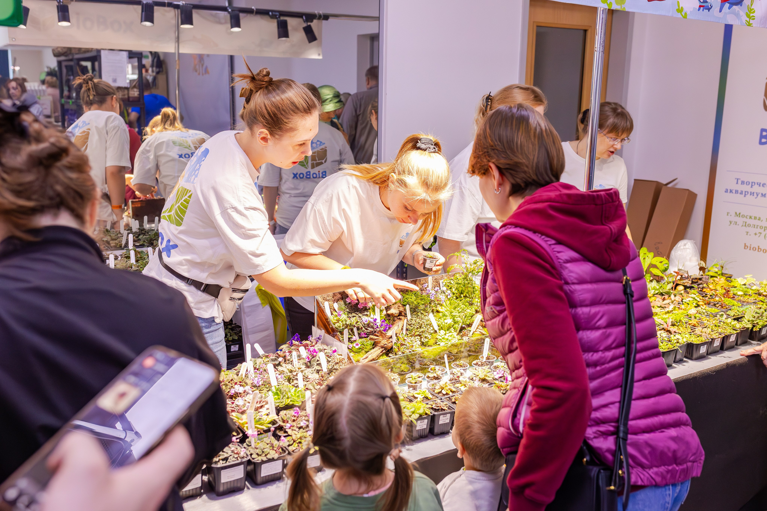 Орхидиум сентябрь 2025. Александра Куликова фотограф, Москва