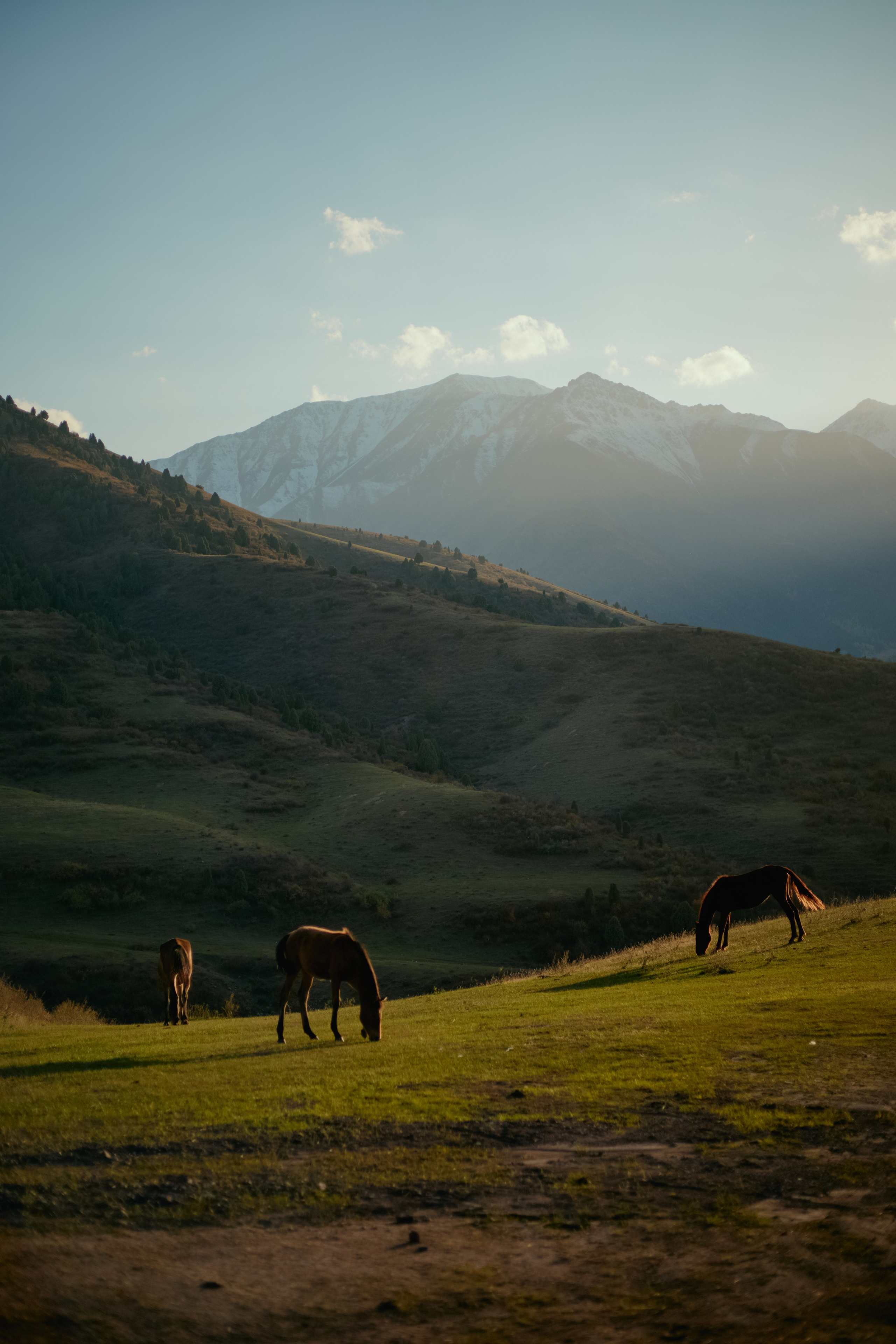 Кыргызтан. Профессиональный Фотограф во Владимире, в Москве и в Суздале — Полина Романычева
