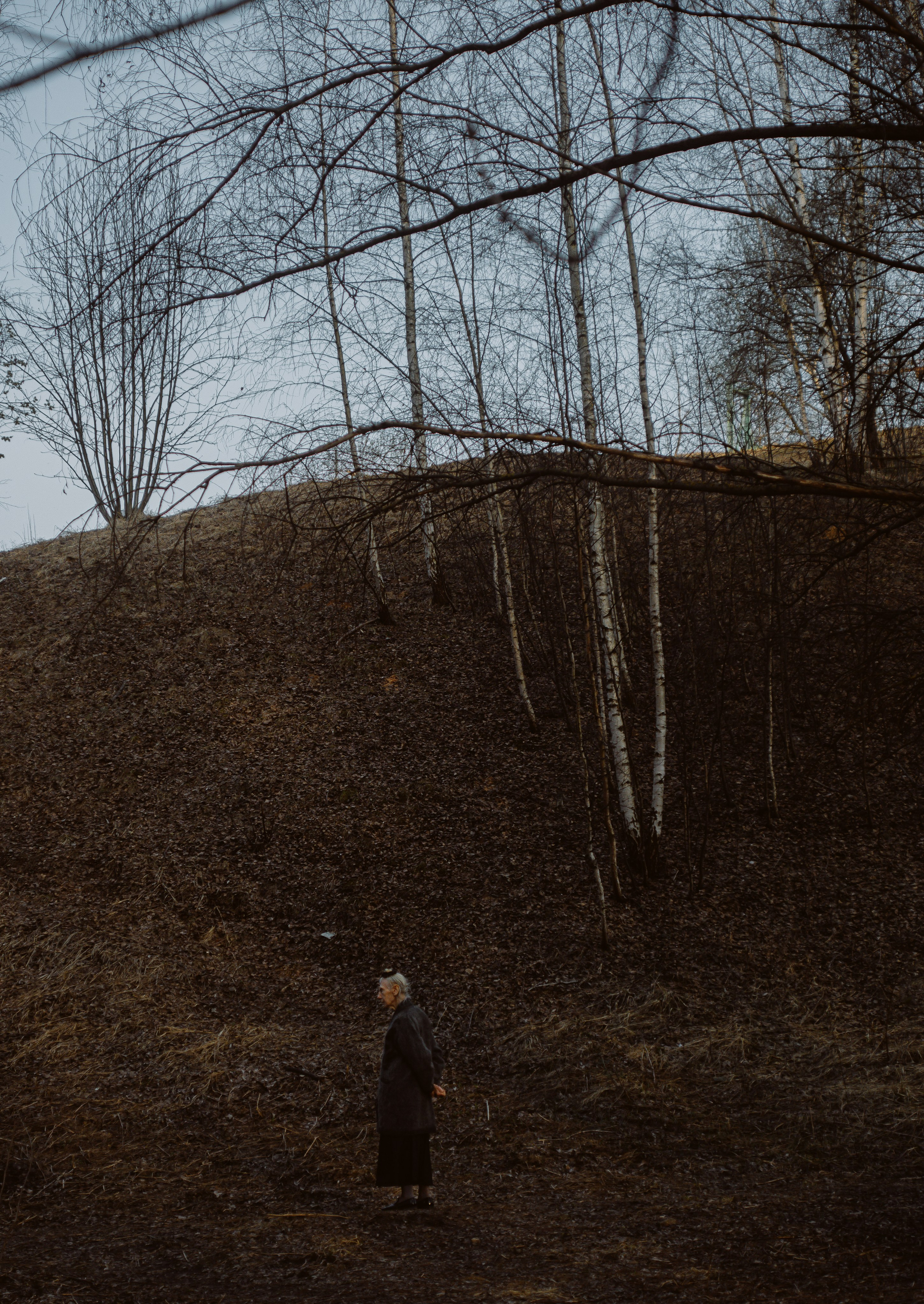 EXHIBITION. Репортажный и интерьерный фотограф, фотохудожник