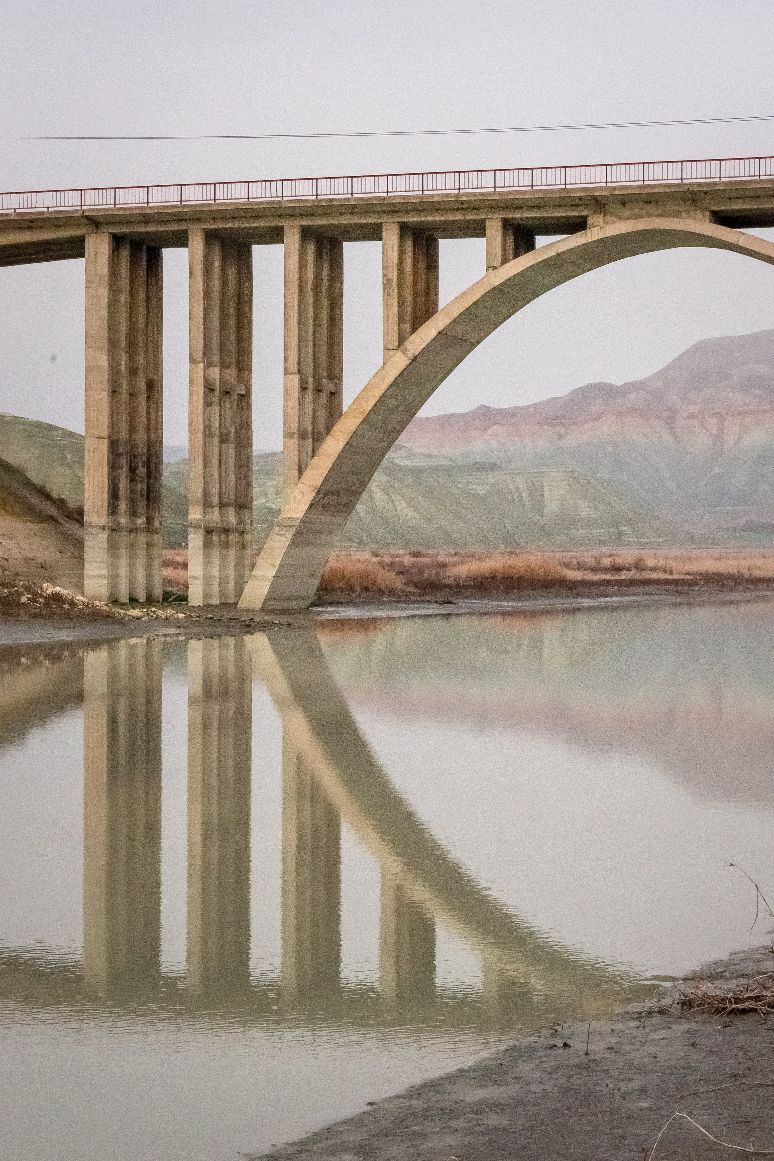 Турция, Птичий заповедник Наллихан. Юля Дэй • Фотограф, Санкт-Петербург