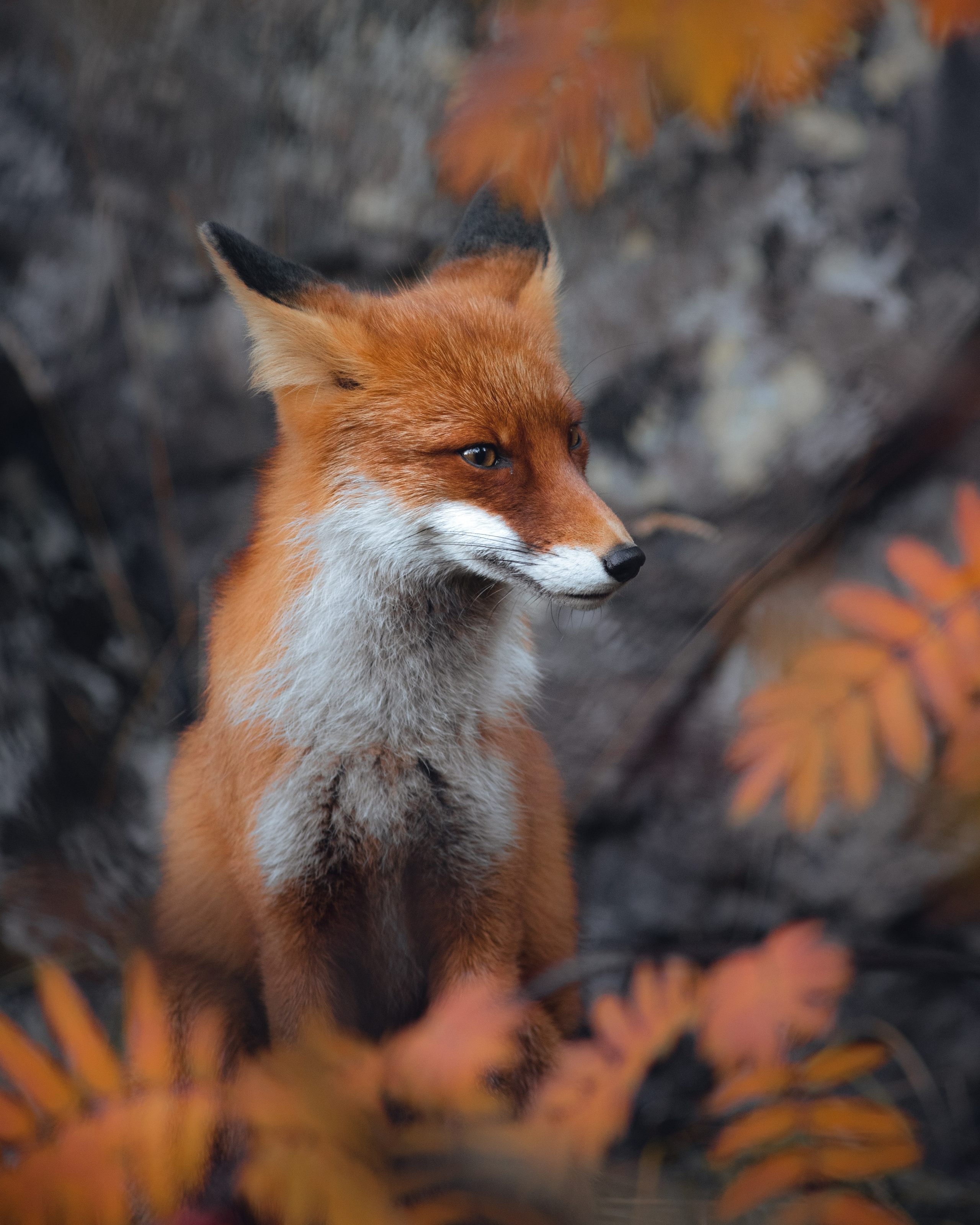 КАНДАЛАКША | БЕЛОЕ МОРЕ. Пейзажный и тревел-фотограф Алексей Соколенко