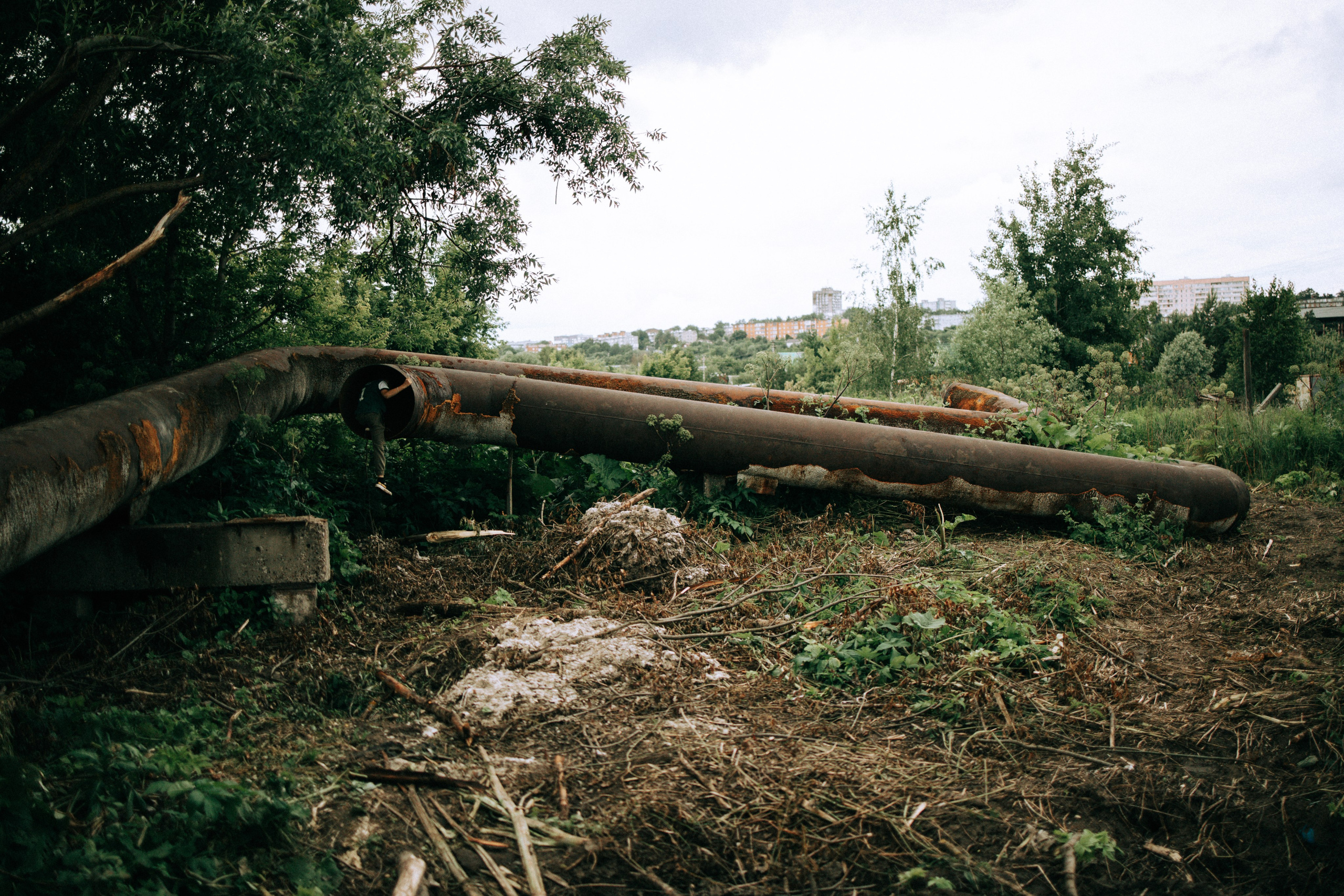 Прогулка по Криволучью. Свадебный и семейный фотограф в Туле и области Маша Костина