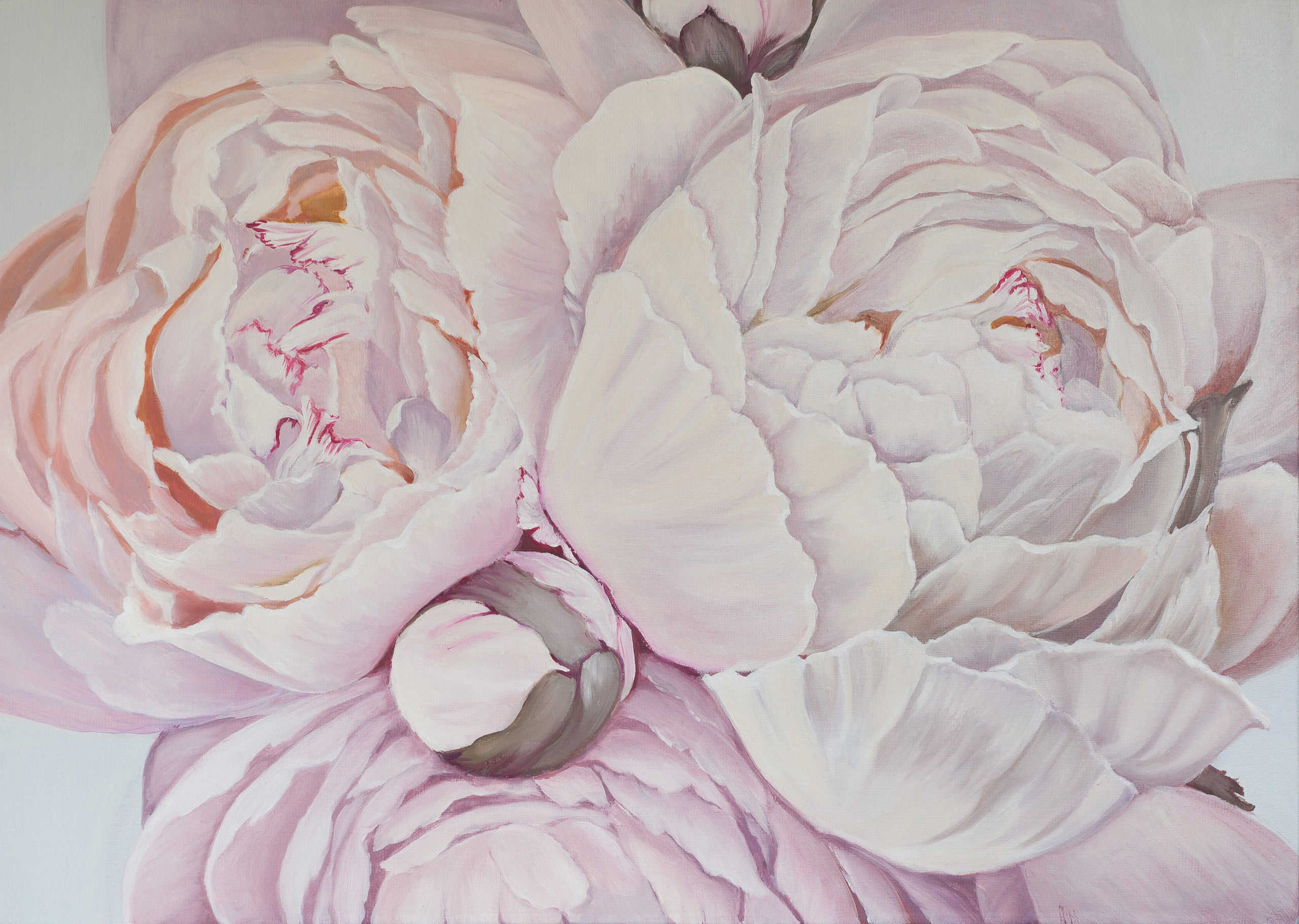 Картина маслом Цветы - Пионы, художник Алёна Мосина, Саратов