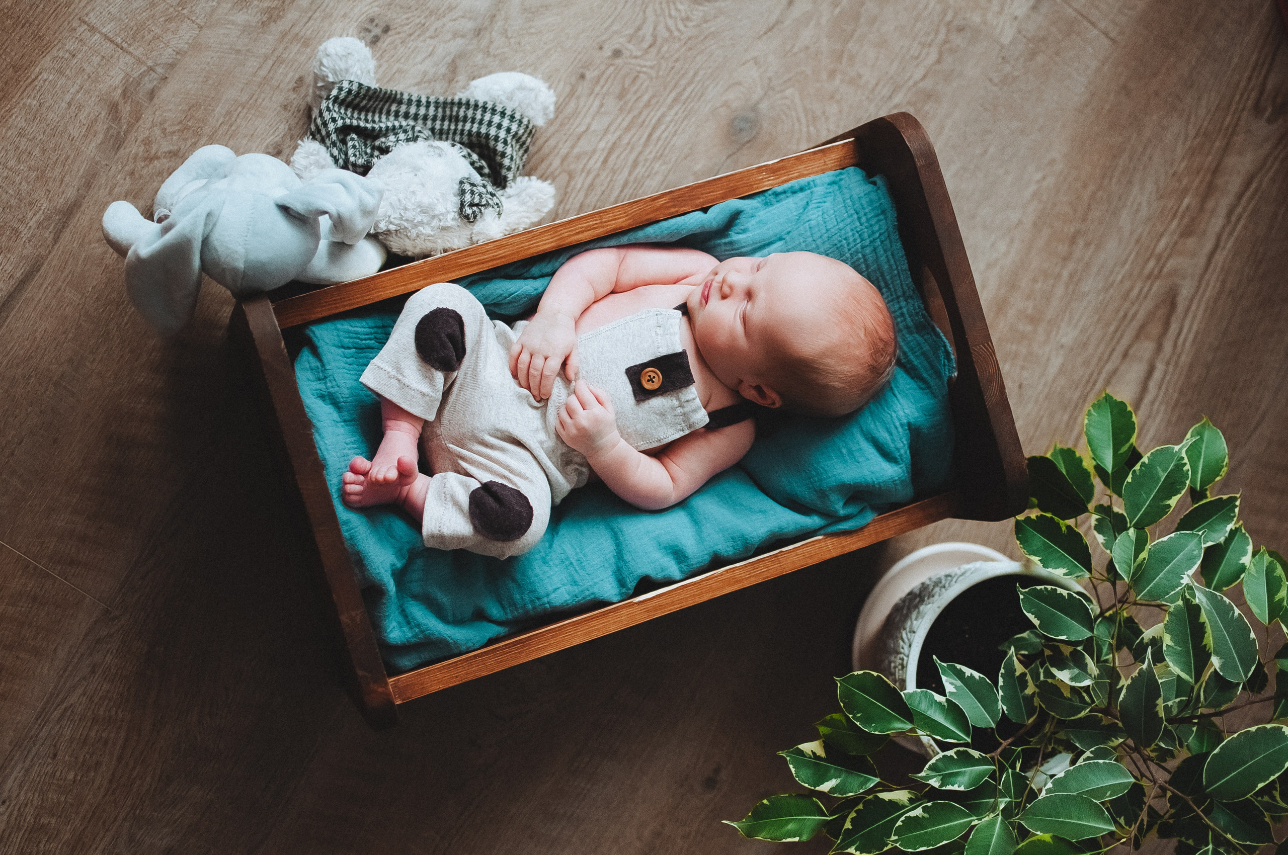 Новорожденные