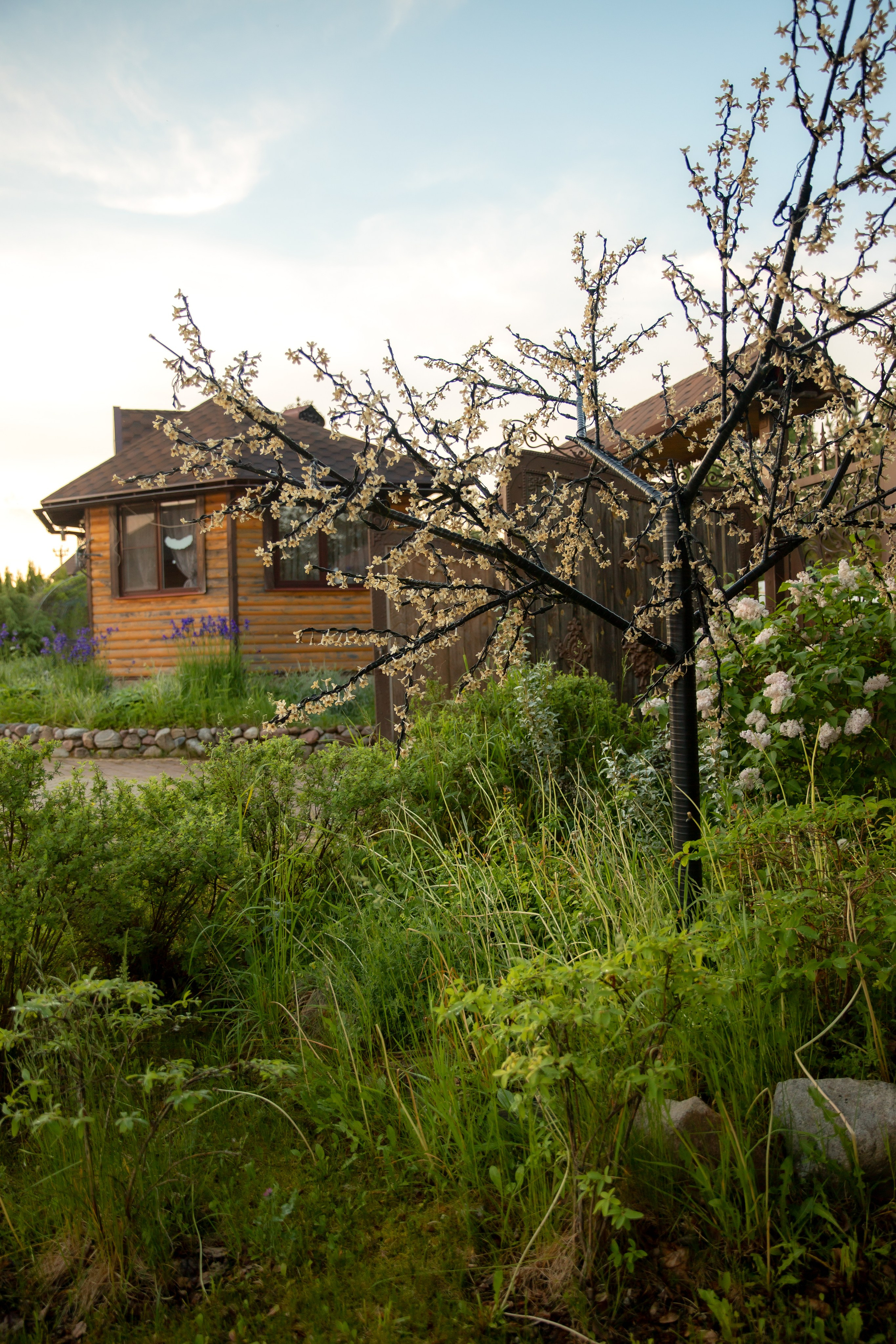 База отдыха в Тверской области. Территория. Фотограф недвижимости и контент-съемки в СПб