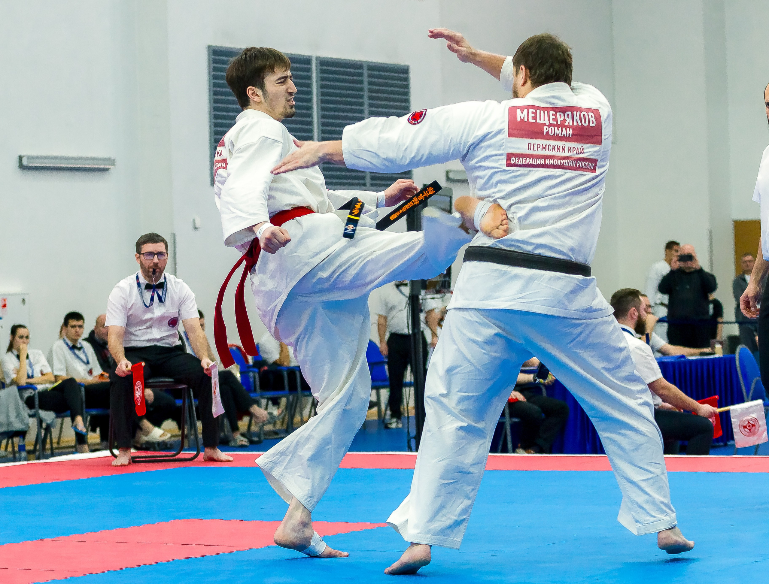 Соревнования по Киокушин памяти С. Увицкого. Репортажная съемка в Москве и области. Анималистика