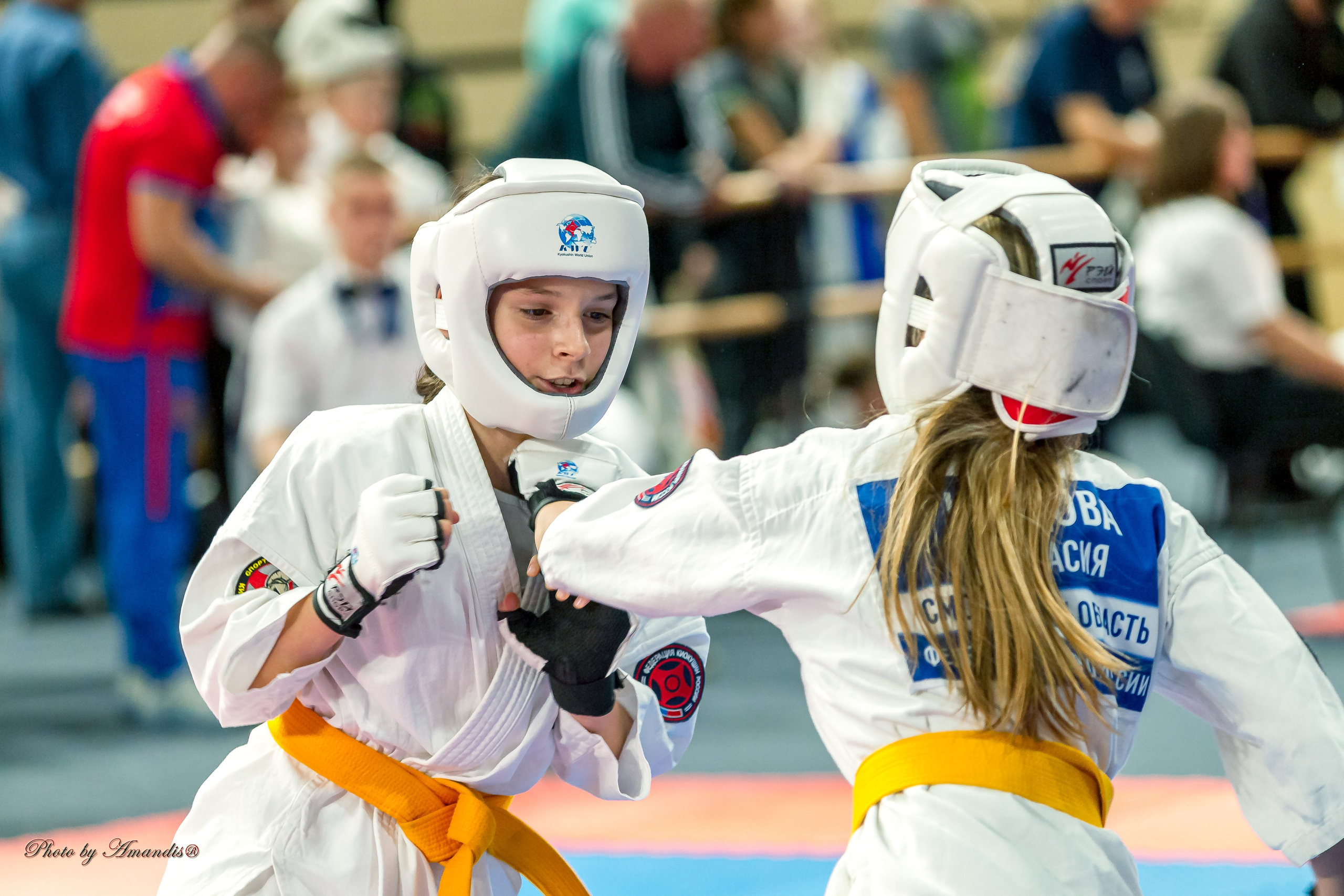 Первенство Московской области по Киокушин в СК «Жаворонки». Репортажная съемка в Москве и области. Анималистика