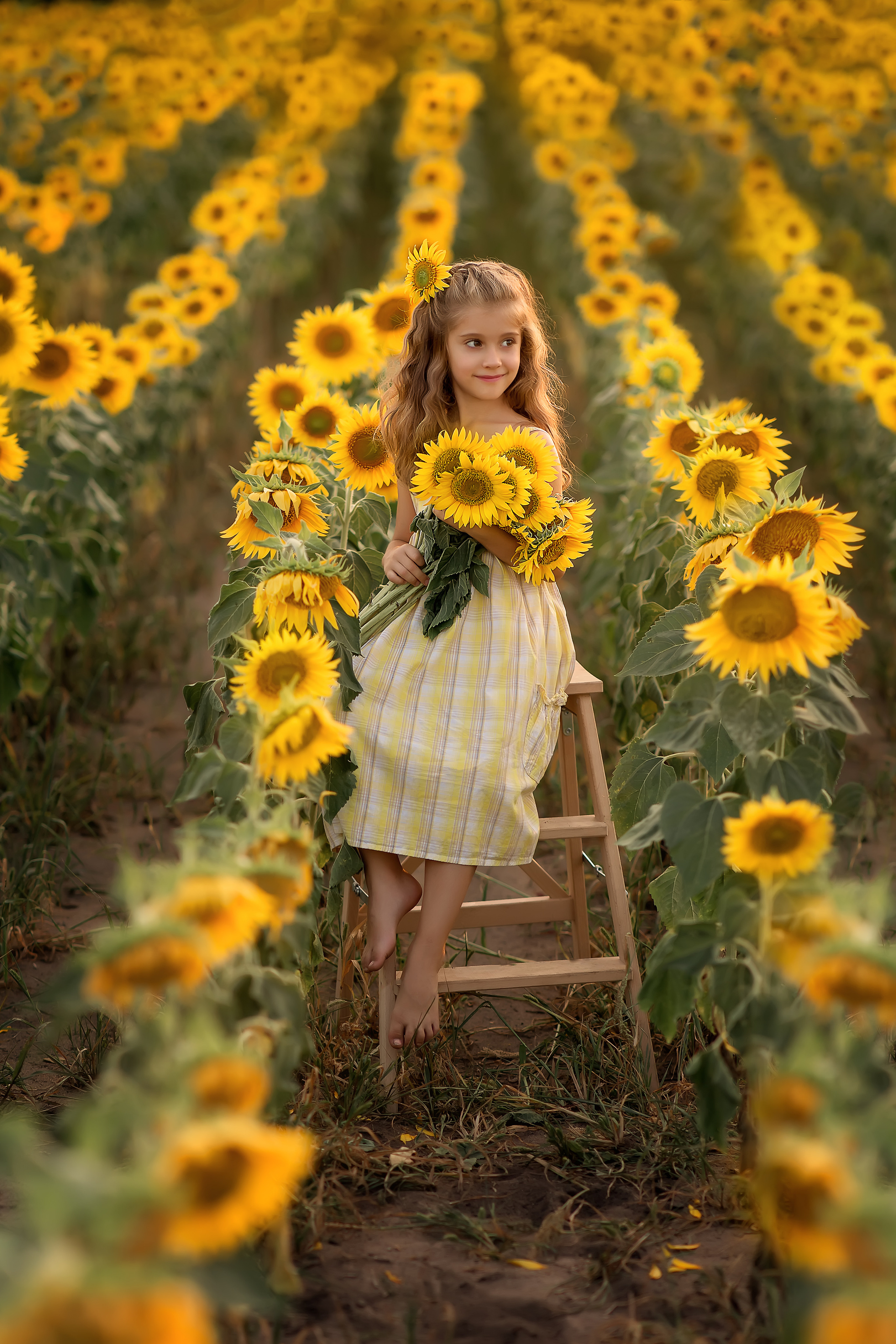 Нина подсолнухи. Фотограф на крещение и венчание