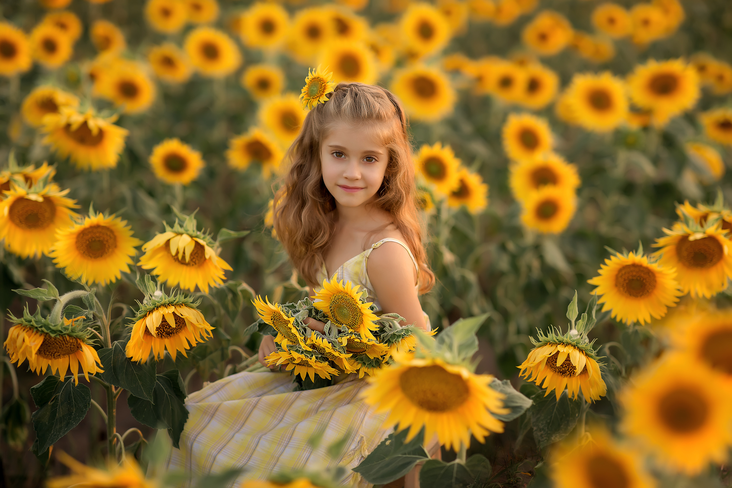 Нина подсолнухи. Фотограф на крещение и венчание