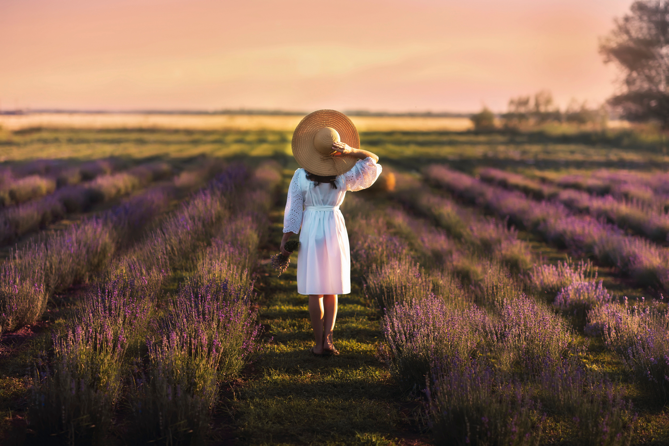 Лаванда. Фотограф на крещение и венчание