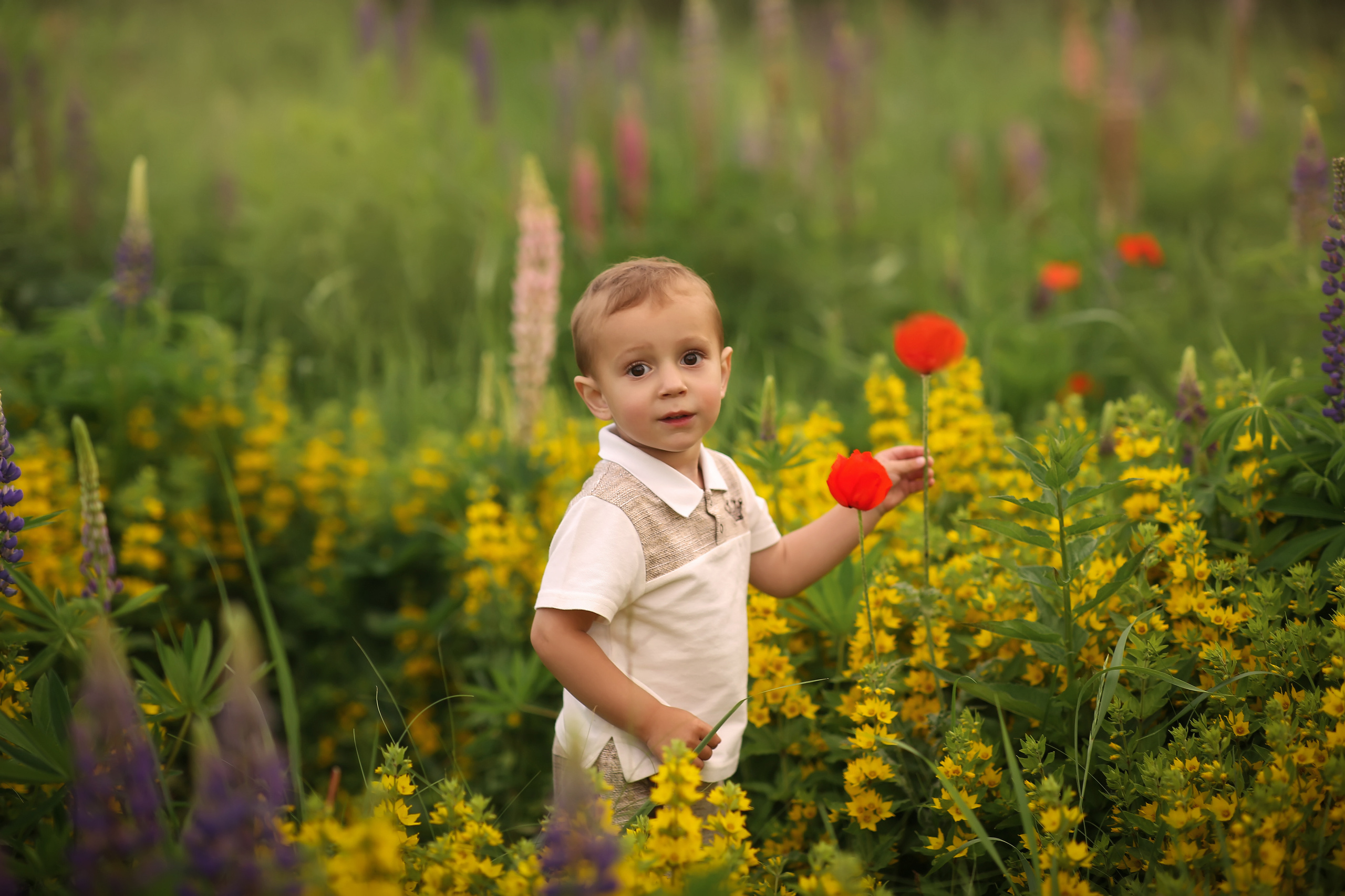 Люпины Вера, Сёмочка и Дмитрий. Фотограф на крещение и венчание
