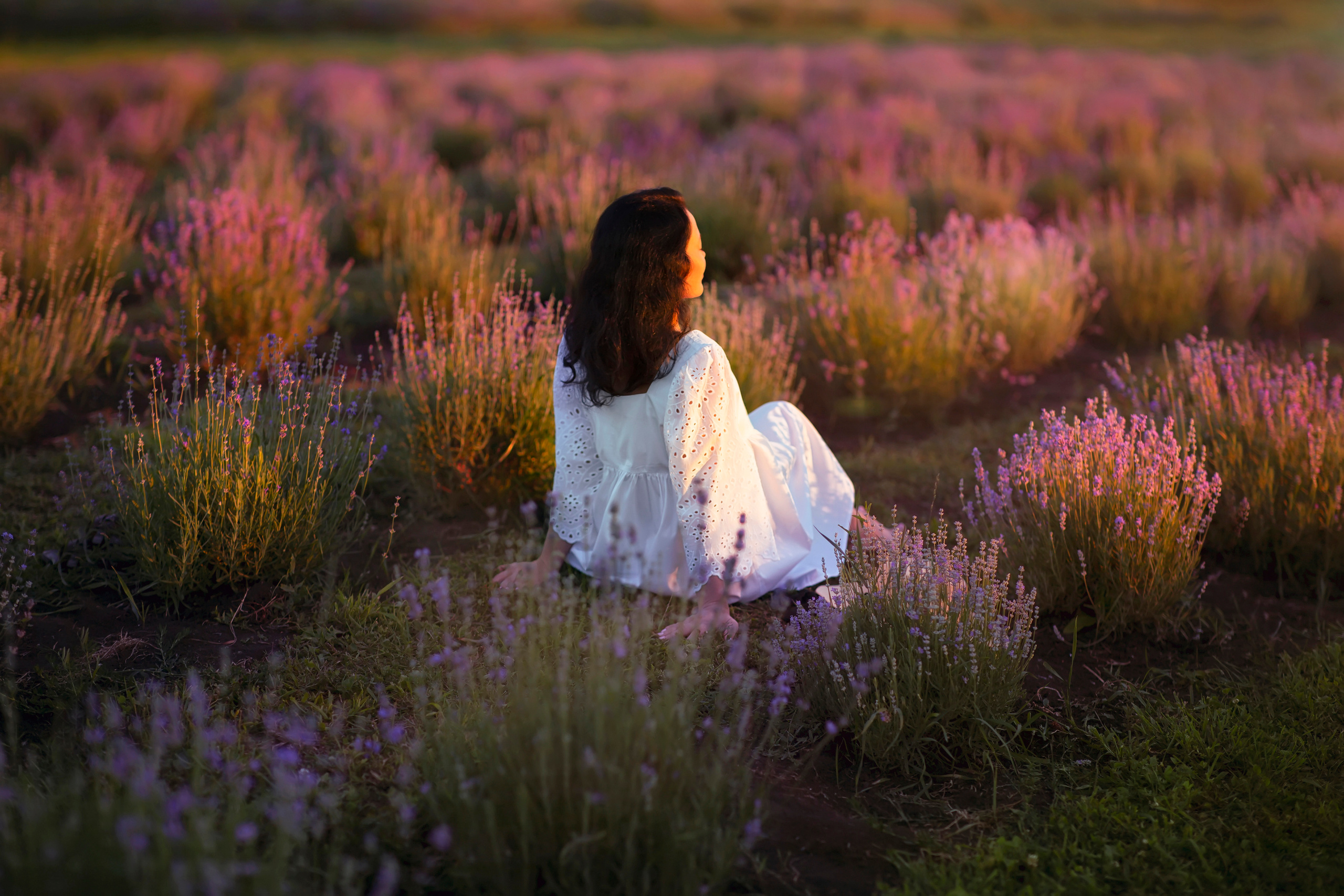 Лаванда. Фотограф на крещение и венчание