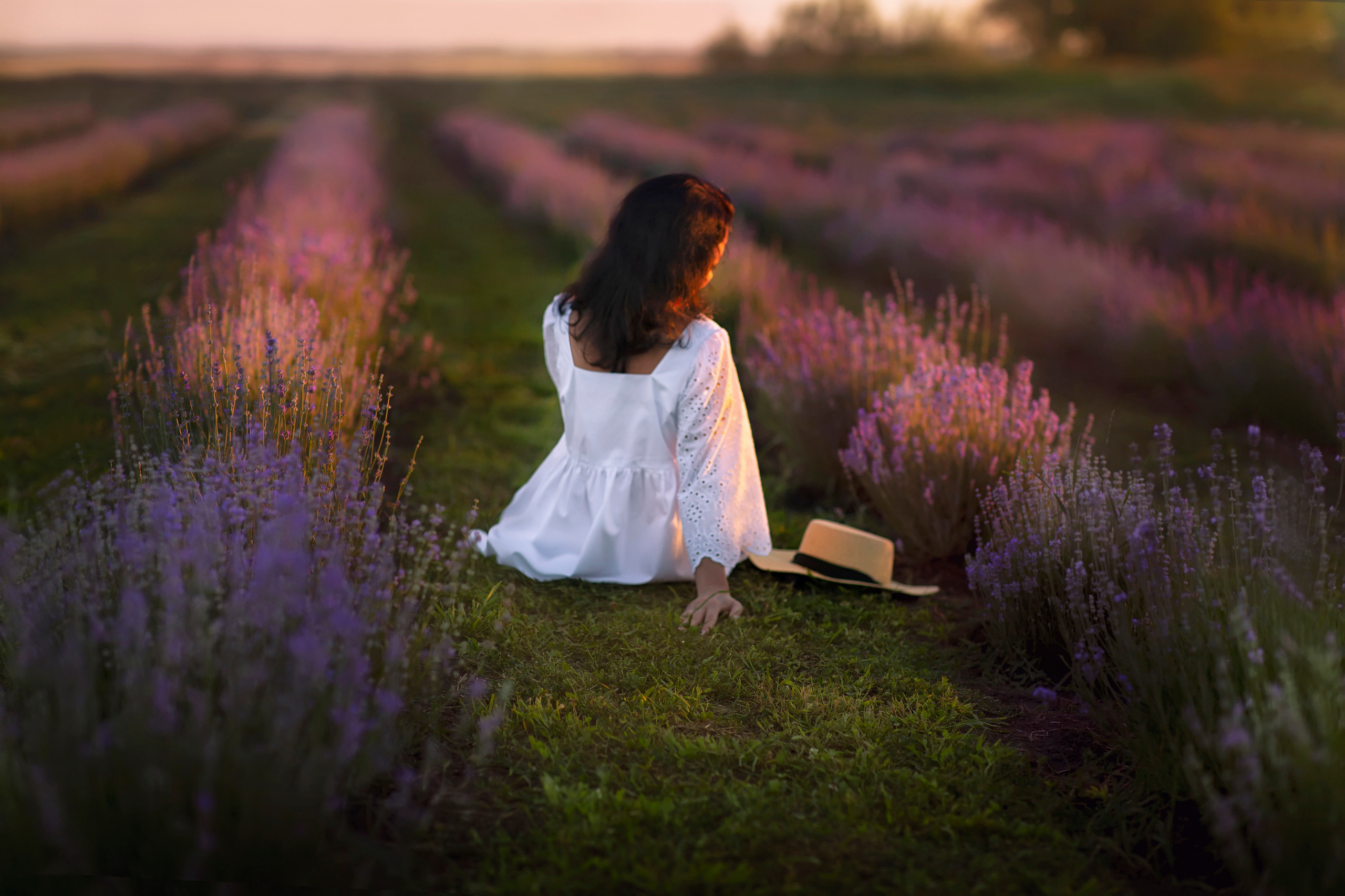 Лаванда. Фотограф на крещение и венчание