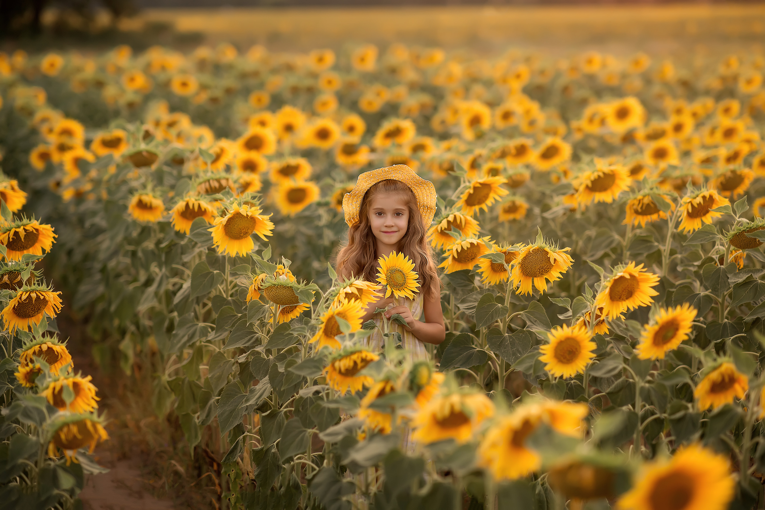Нина подсолнухи. Фотограф на крещение и венчание