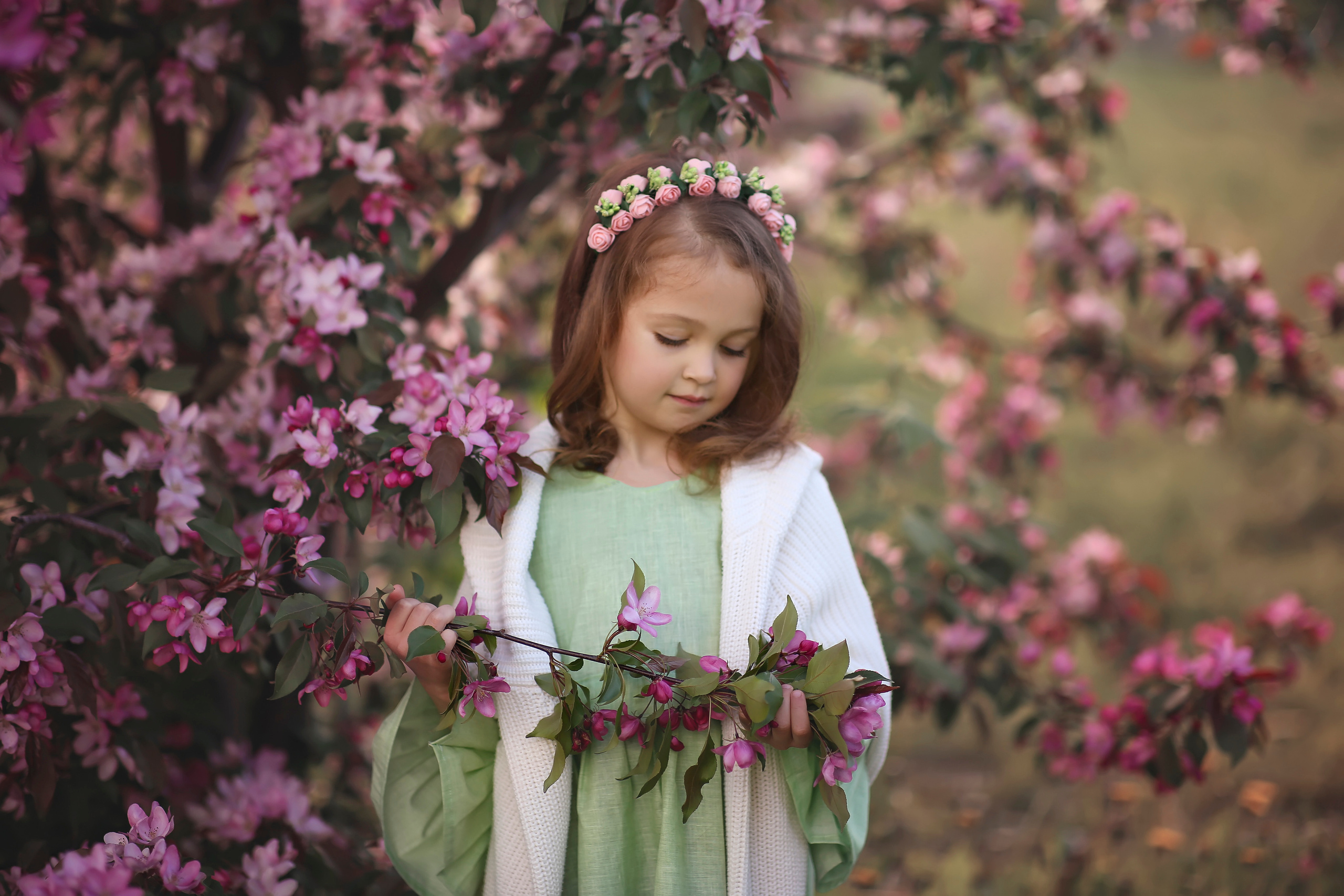 Карина Розовая яблоня. Фотограф на крещение и венчание