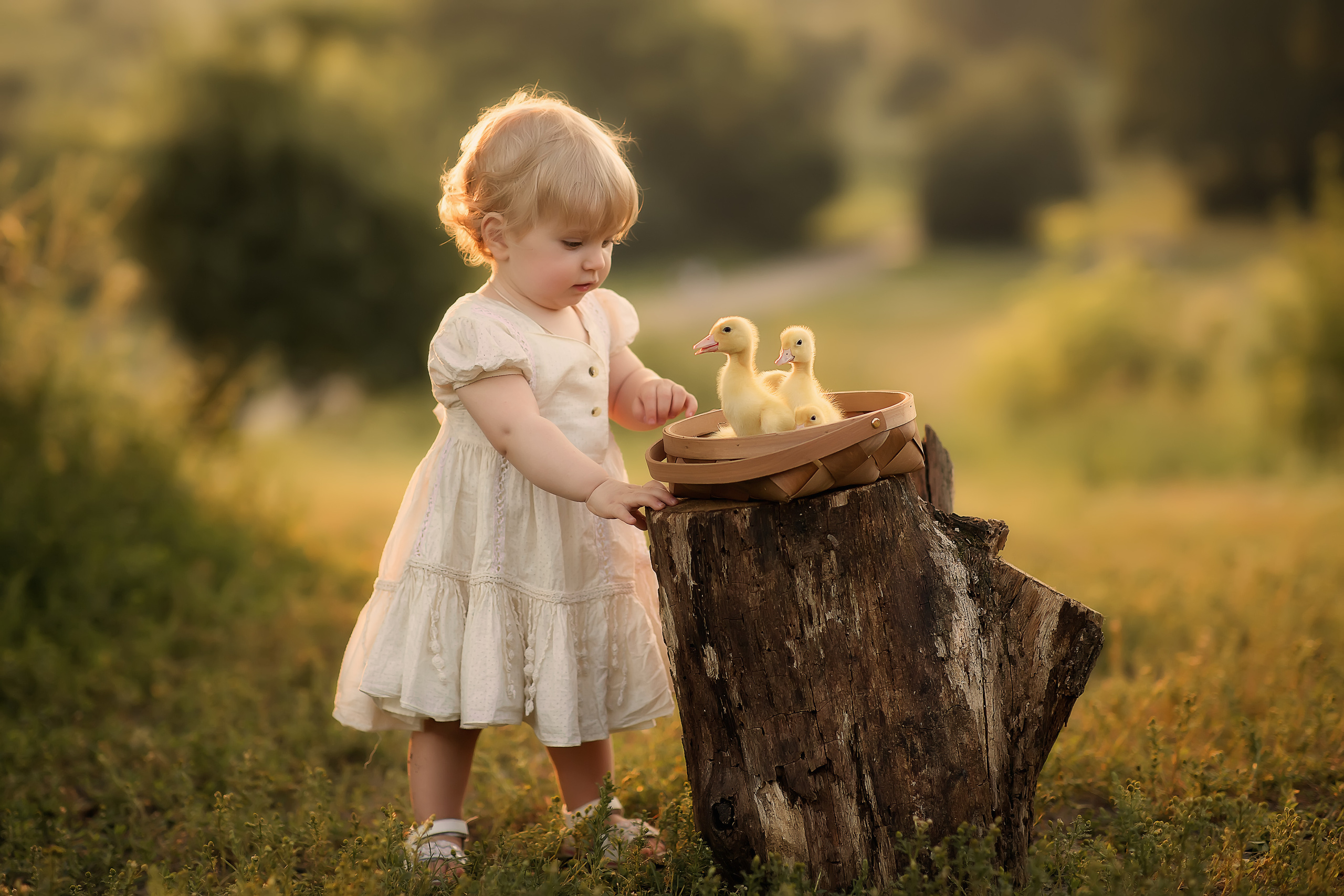 Малышечка. Фотограф на крещение и венчание