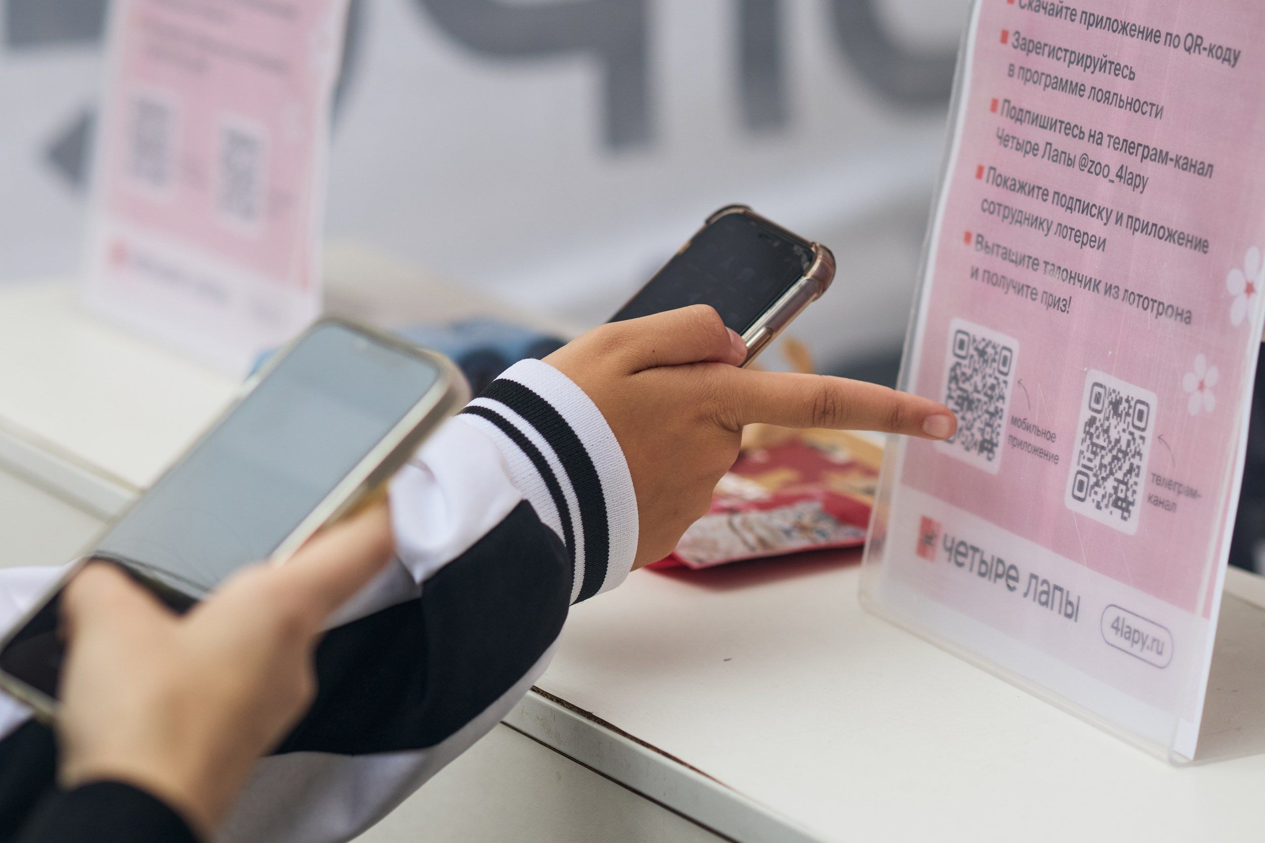 Четыре Лапы. Свадебный и репортажный фотограф Дмитрий Кононенко